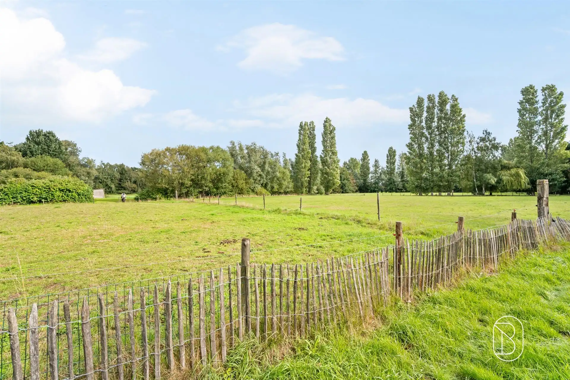 Kasteel van Zaffelare op 4,6 hectare foto 11