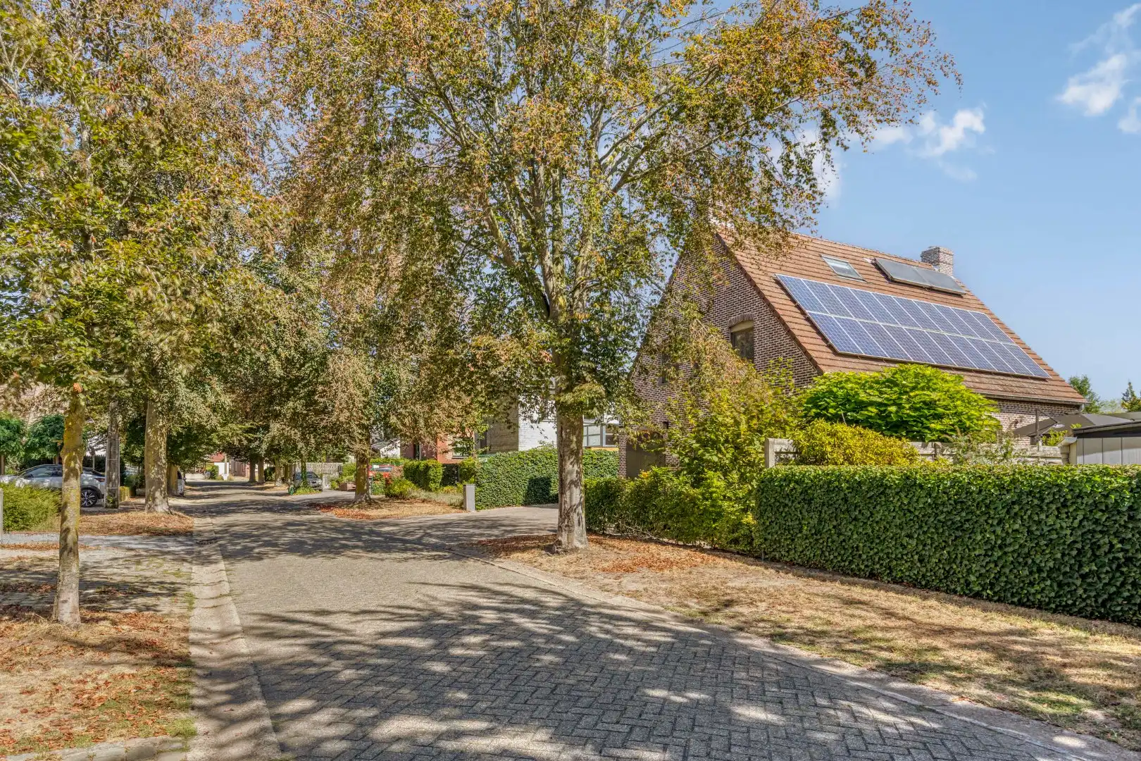 Ruime en verzorgde gezinswoning met 3 slpks en zwembad op topligging in Beerse foto 46