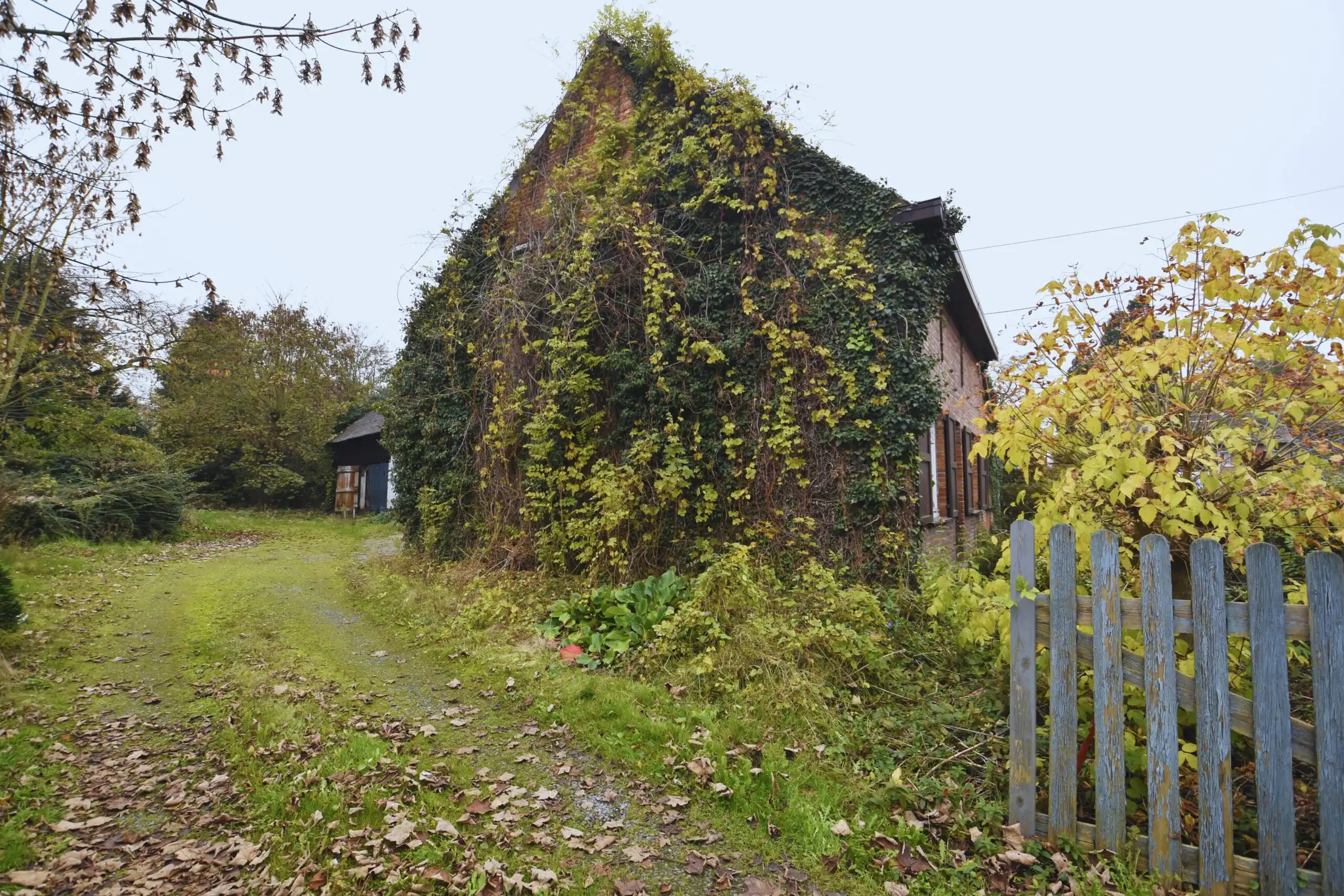 Bouwgrond met af te breken woning & stallen – Landelijk gelegen in Nieuwkerken-Waas foto 3