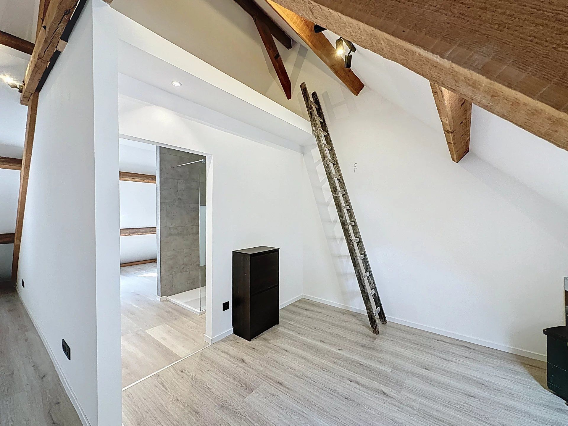 Volledig gerenoveerde villa in de Europese wijk. foto 31