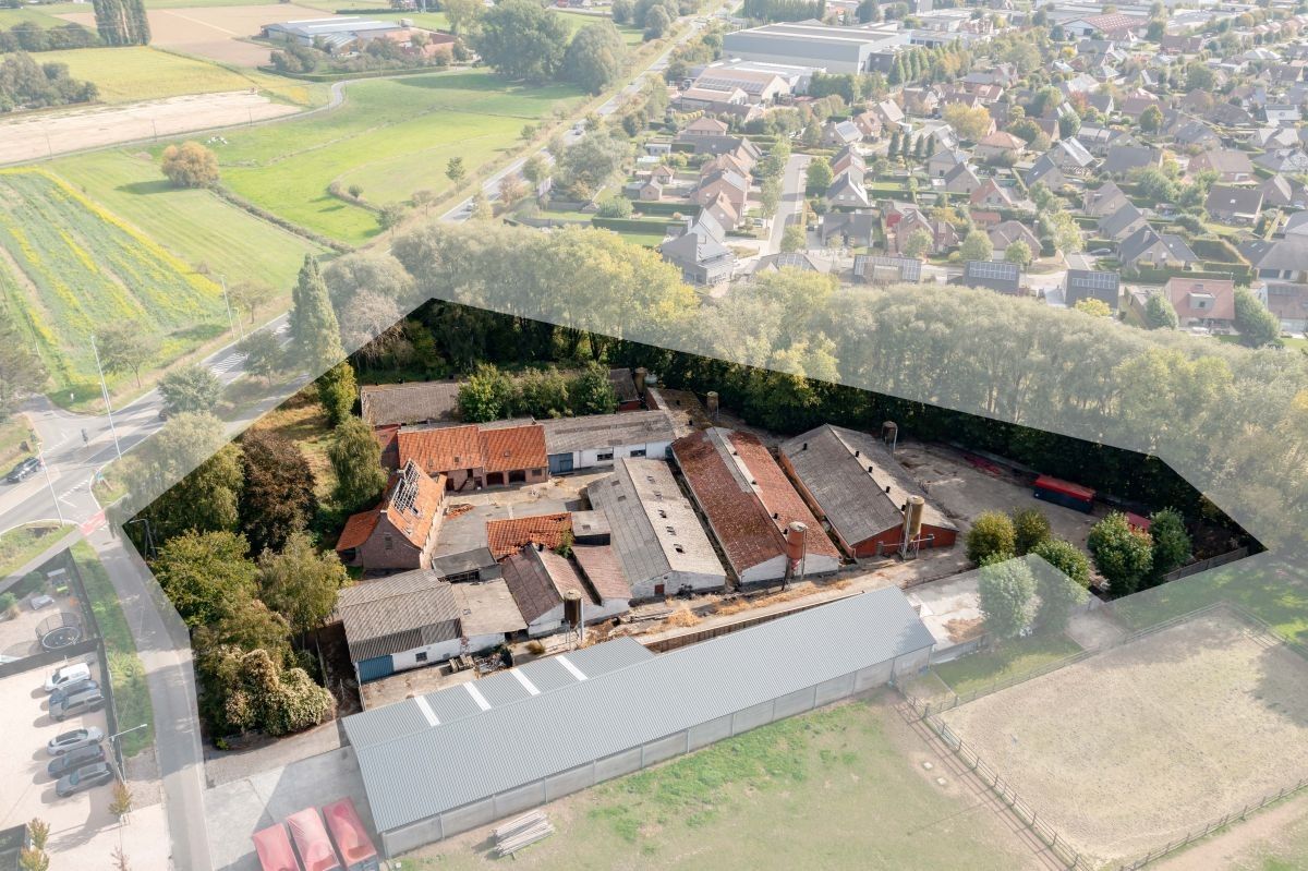 Hoofdfoto van de publicatie: Varkensbedrijf te koop te Bavikhove