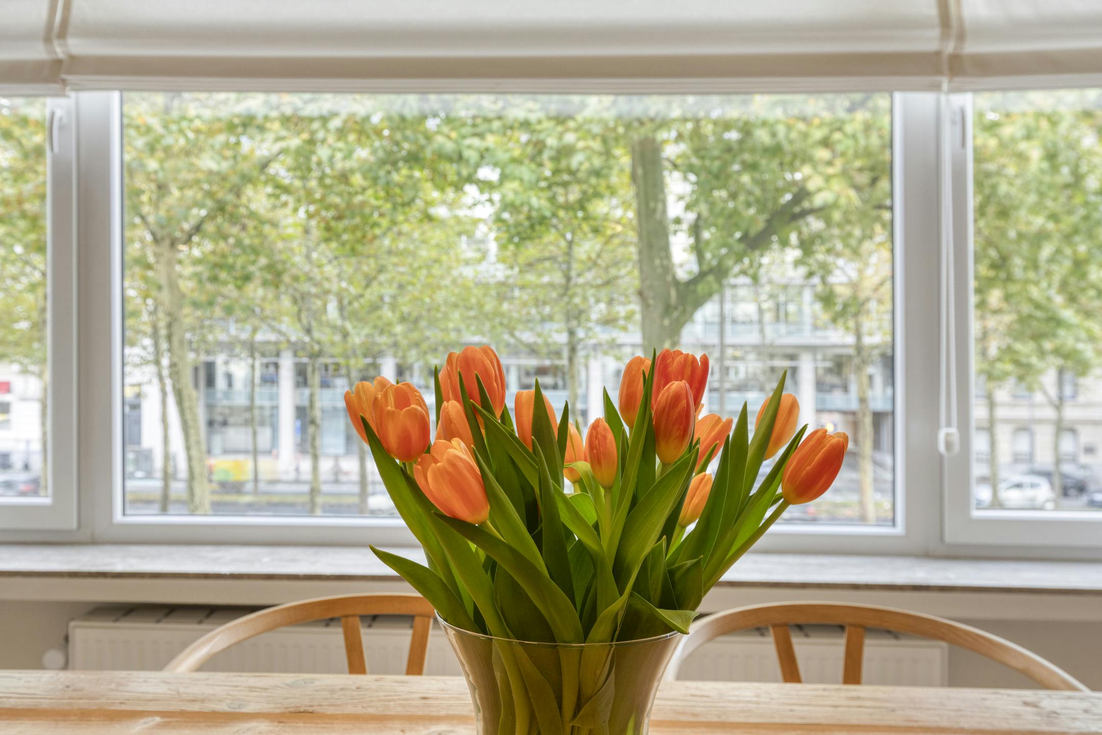 Gerenoveerd appartement te koop in Antwerpen centrum foto 9