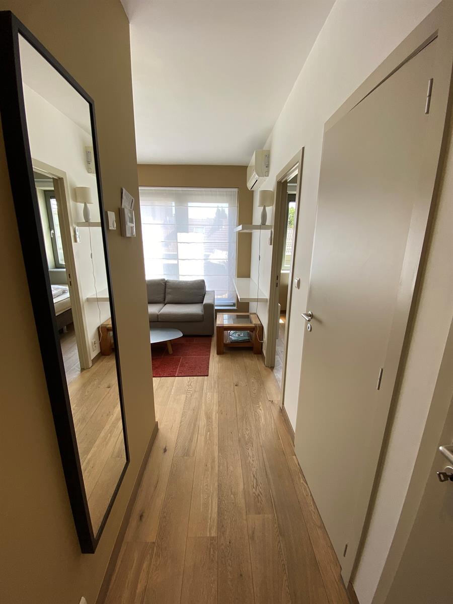 Prachtig gemeubeld app - 1Kamer + Terras (Europese wijk) foto 3