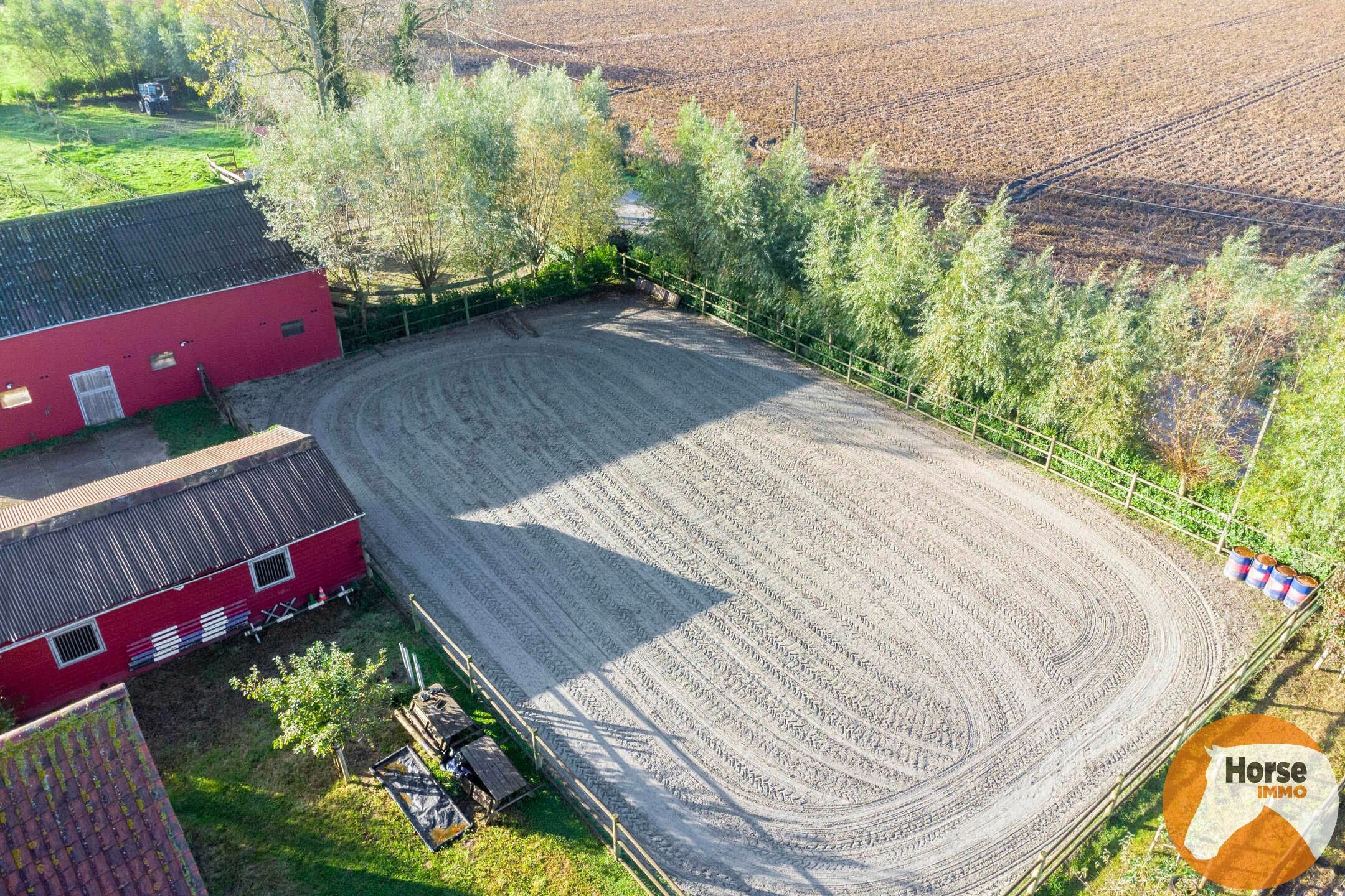 VEURNE- Unieke hoevewoning met paardenfaciliteiten  foto 5