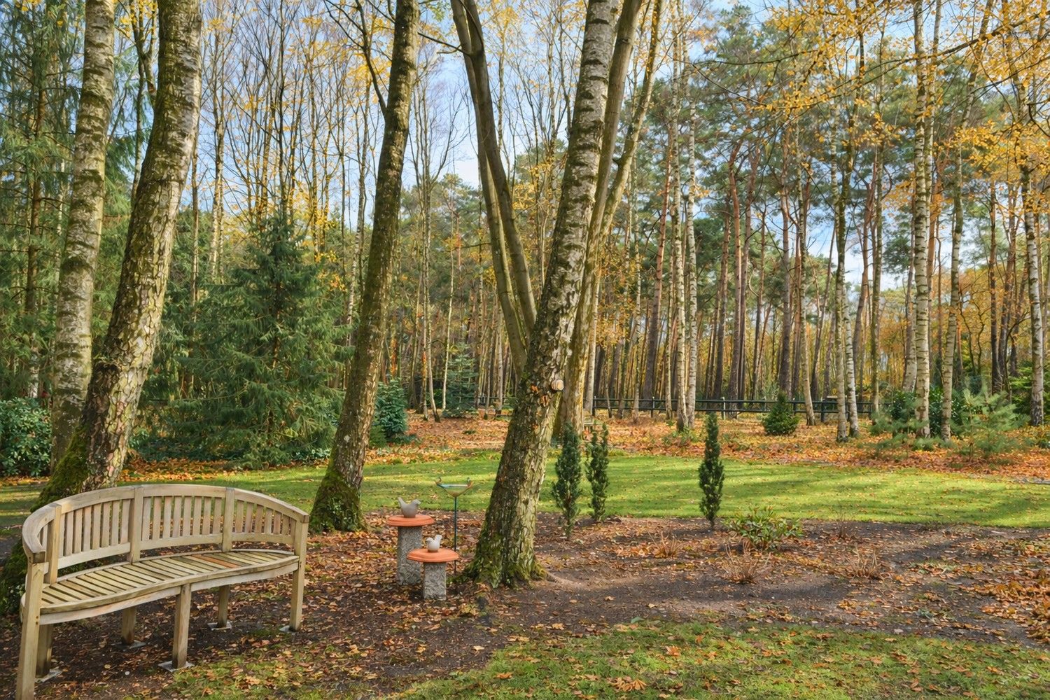 Hier woon je waar rust, ruimte en natuur samenvloeien foto 4