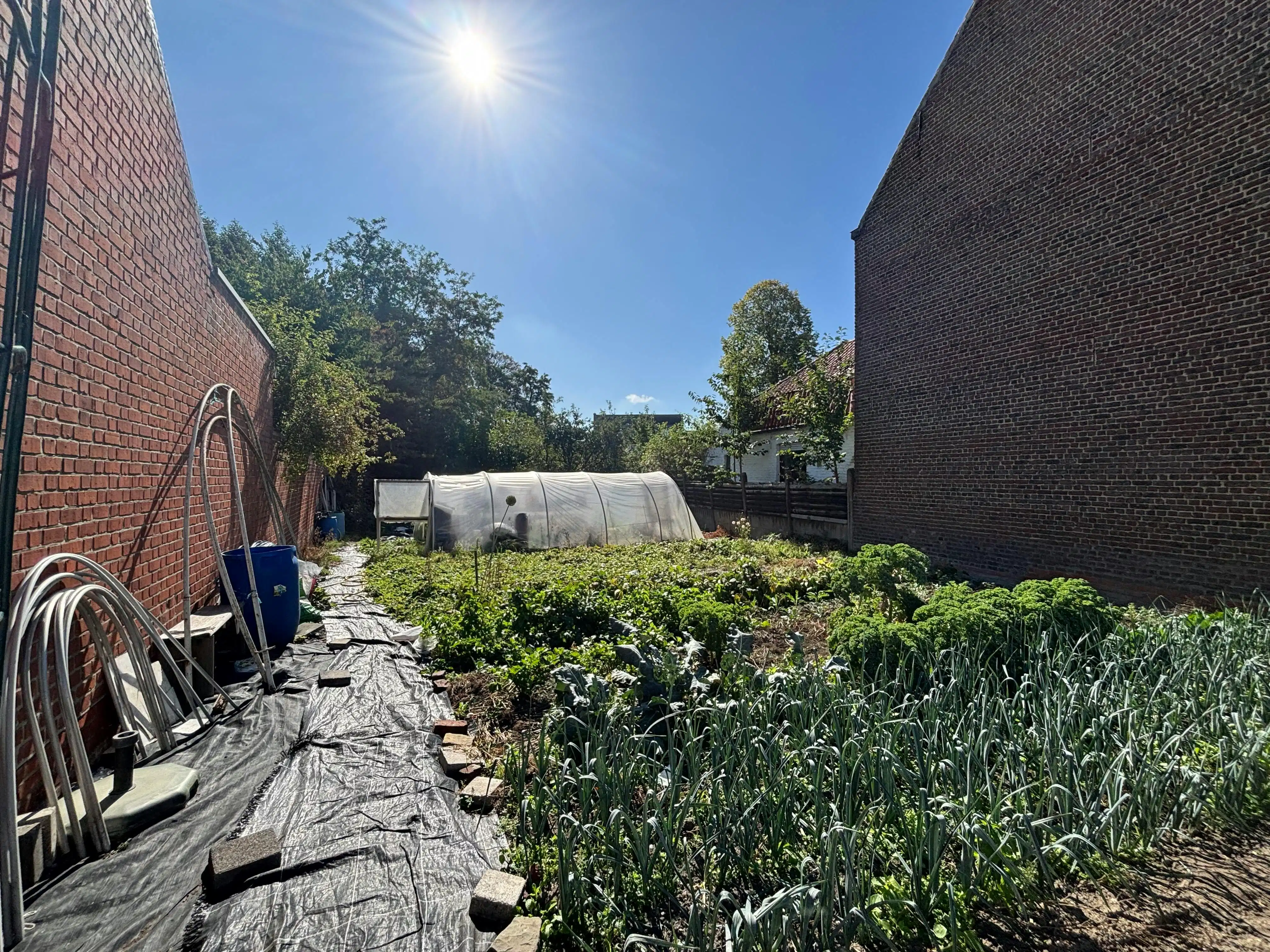 Bouwgrond/projectgrond in het centrum van Meulebeke te koop foto 6