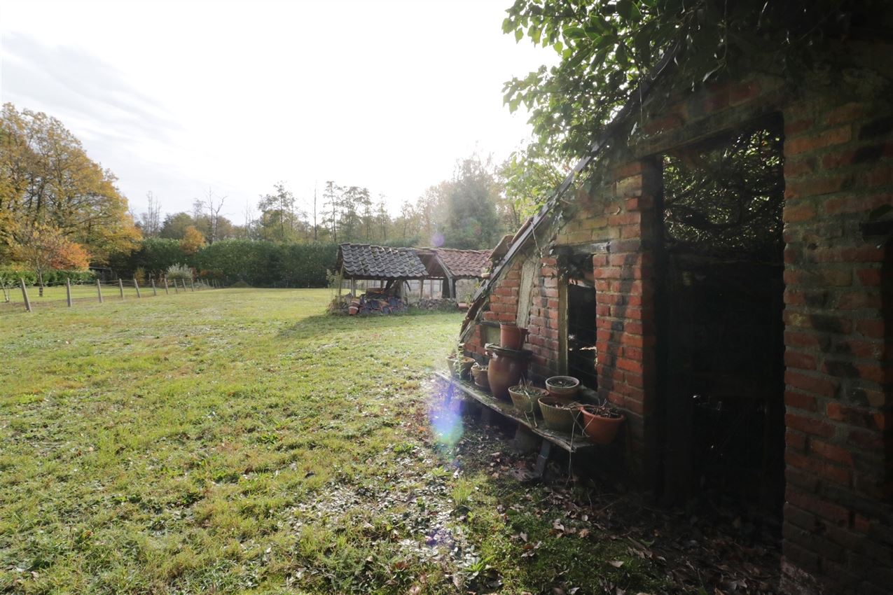 Magnifiek perceel van 19a43ca met zuidgerichte tuin aan de Demervallei foto 6