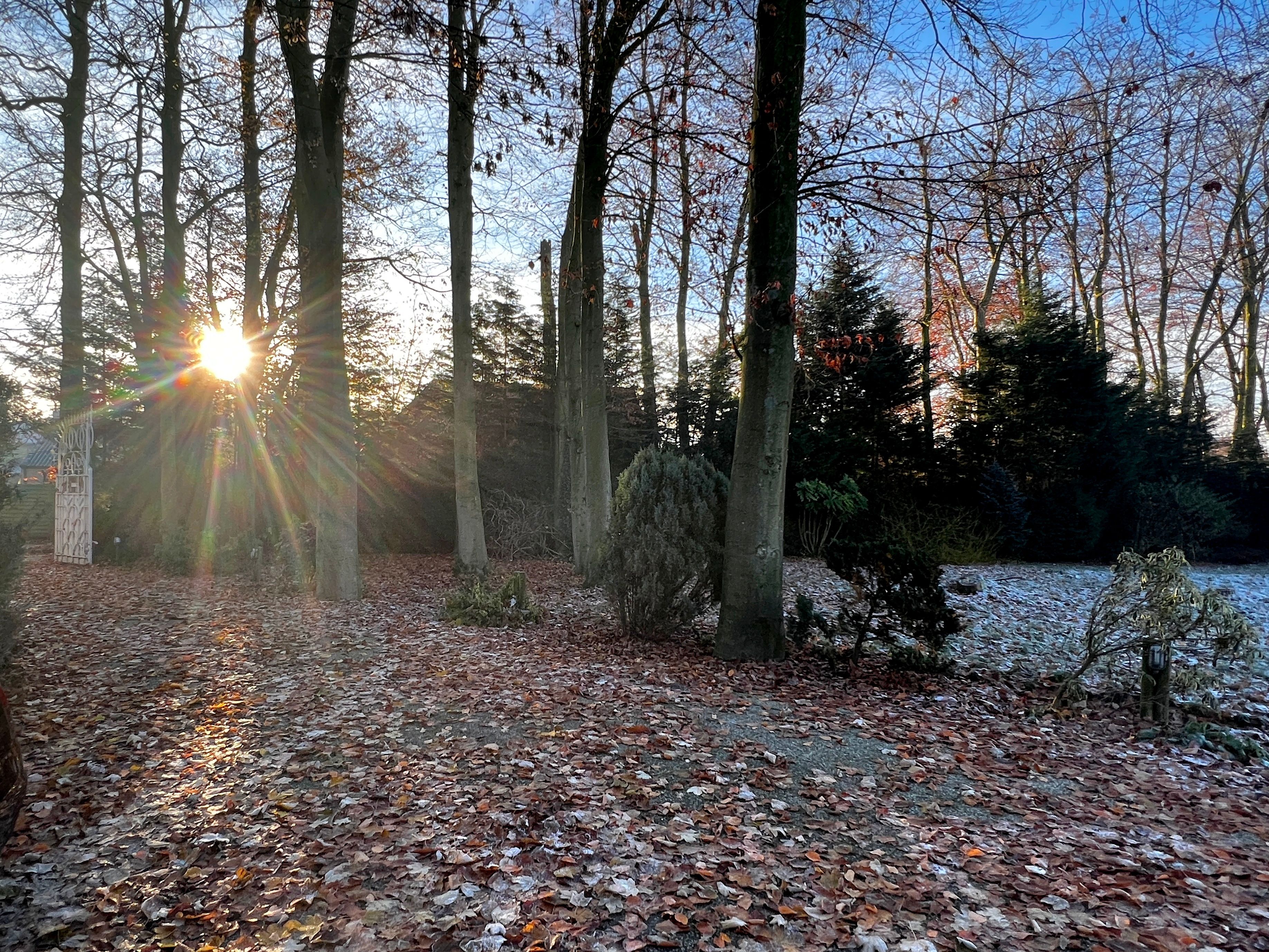 Uitzonderlijk domein met villa en conciërgewoning te Gistel foto 16