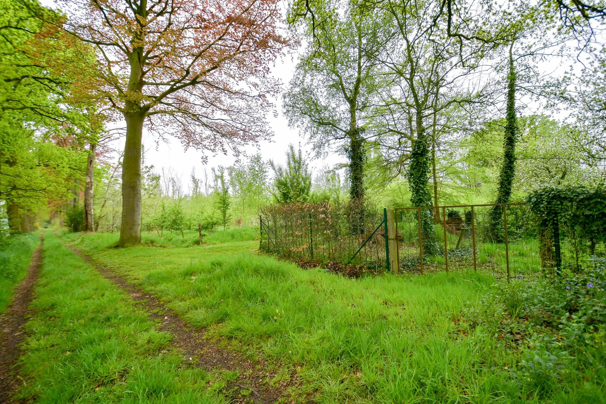 GOED GELEGEN WONING met prachtige idyllische tuin en uitweg op een perceel van 2034 m² met landelijke uitzichten foto 2