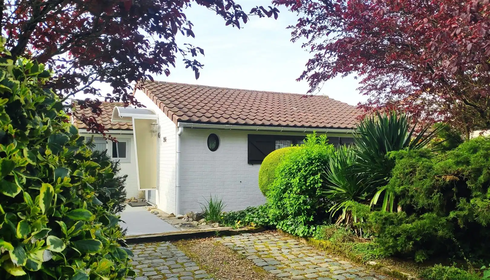 Hoofdfoto van de publicatie: Centraal gelegen Duinenhuisje met vernieuwd terras.