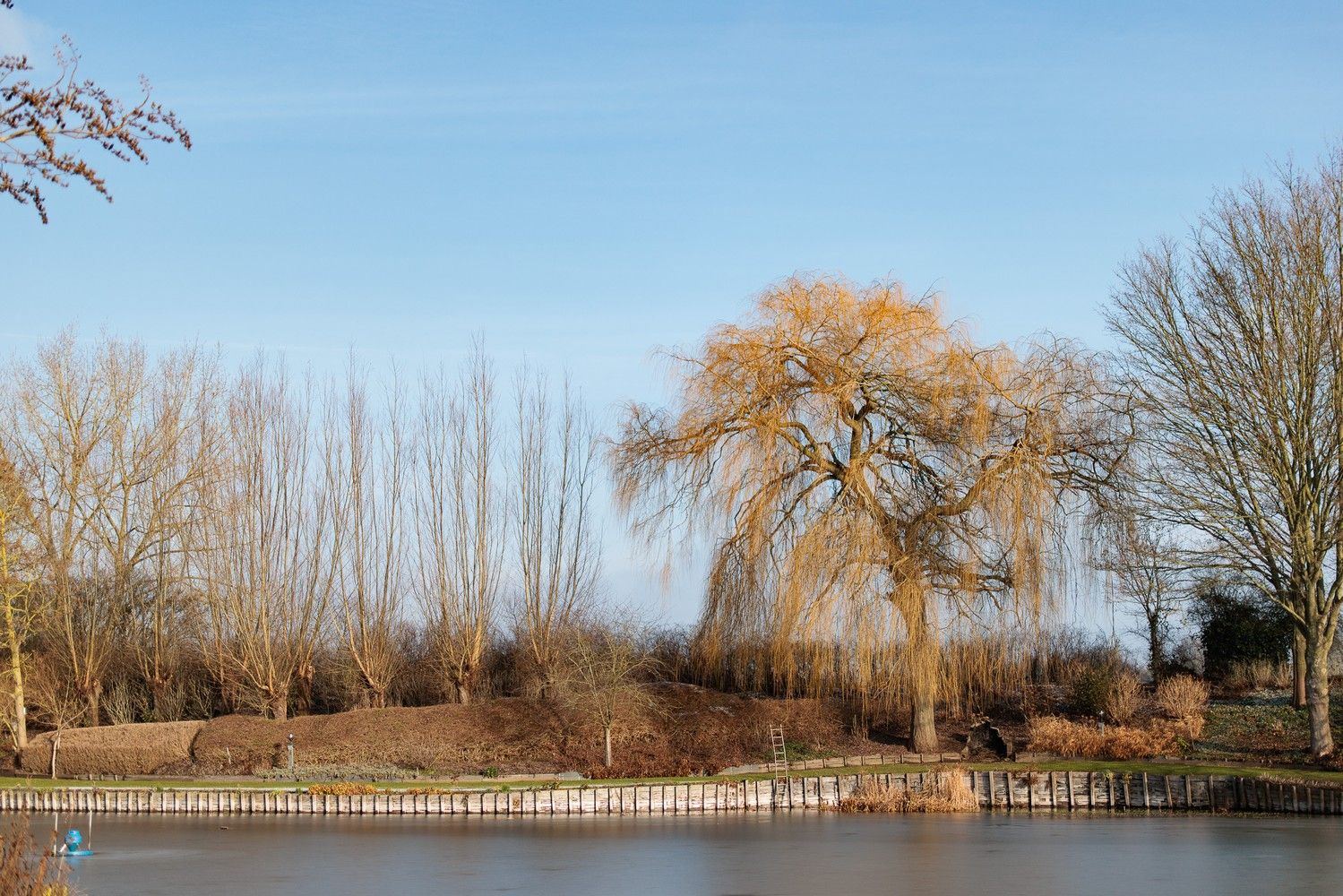 Uitzonderlijk domein van ca 1,2ha op unieke locatie foto 28