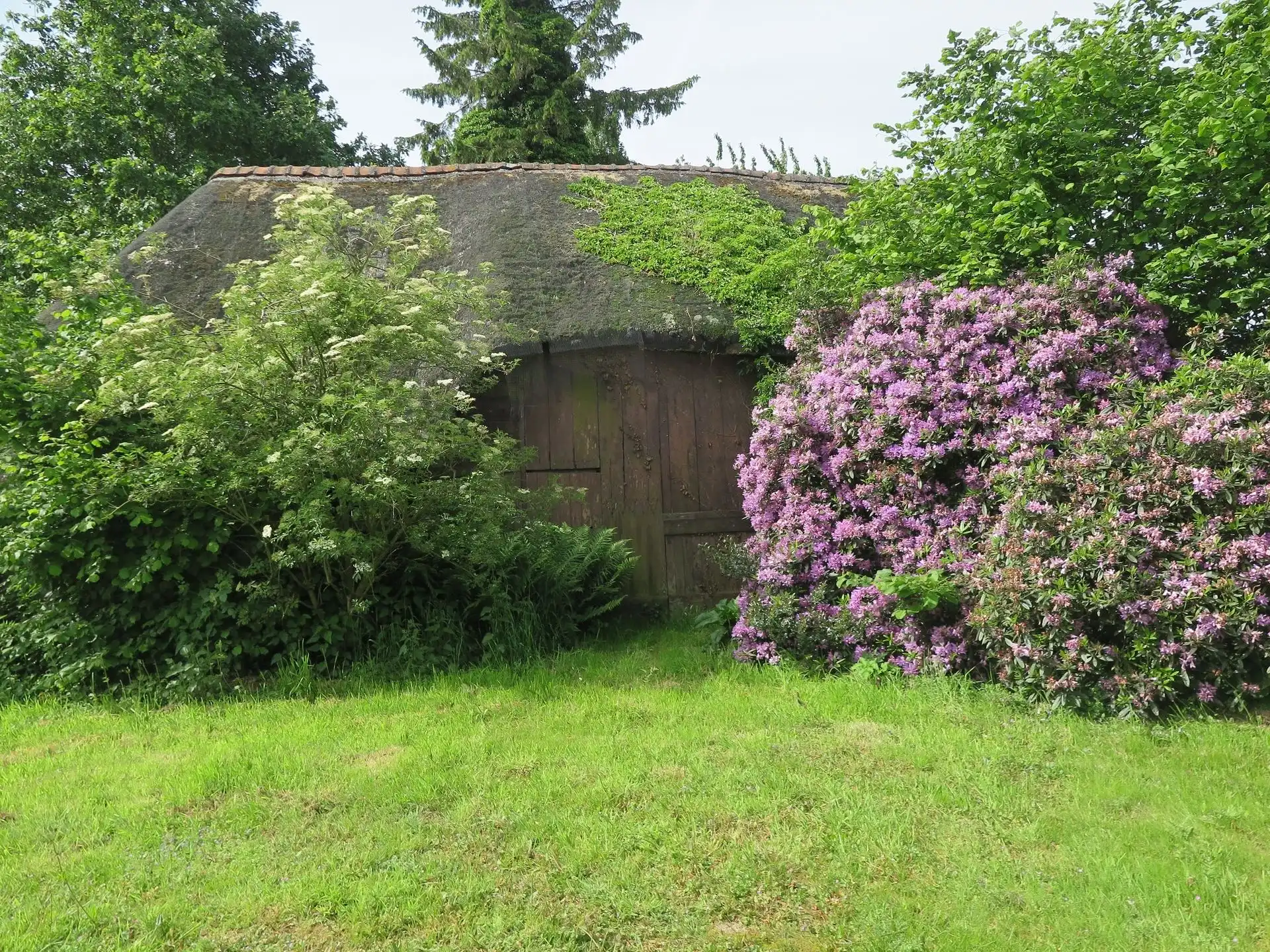 Huis foto 8