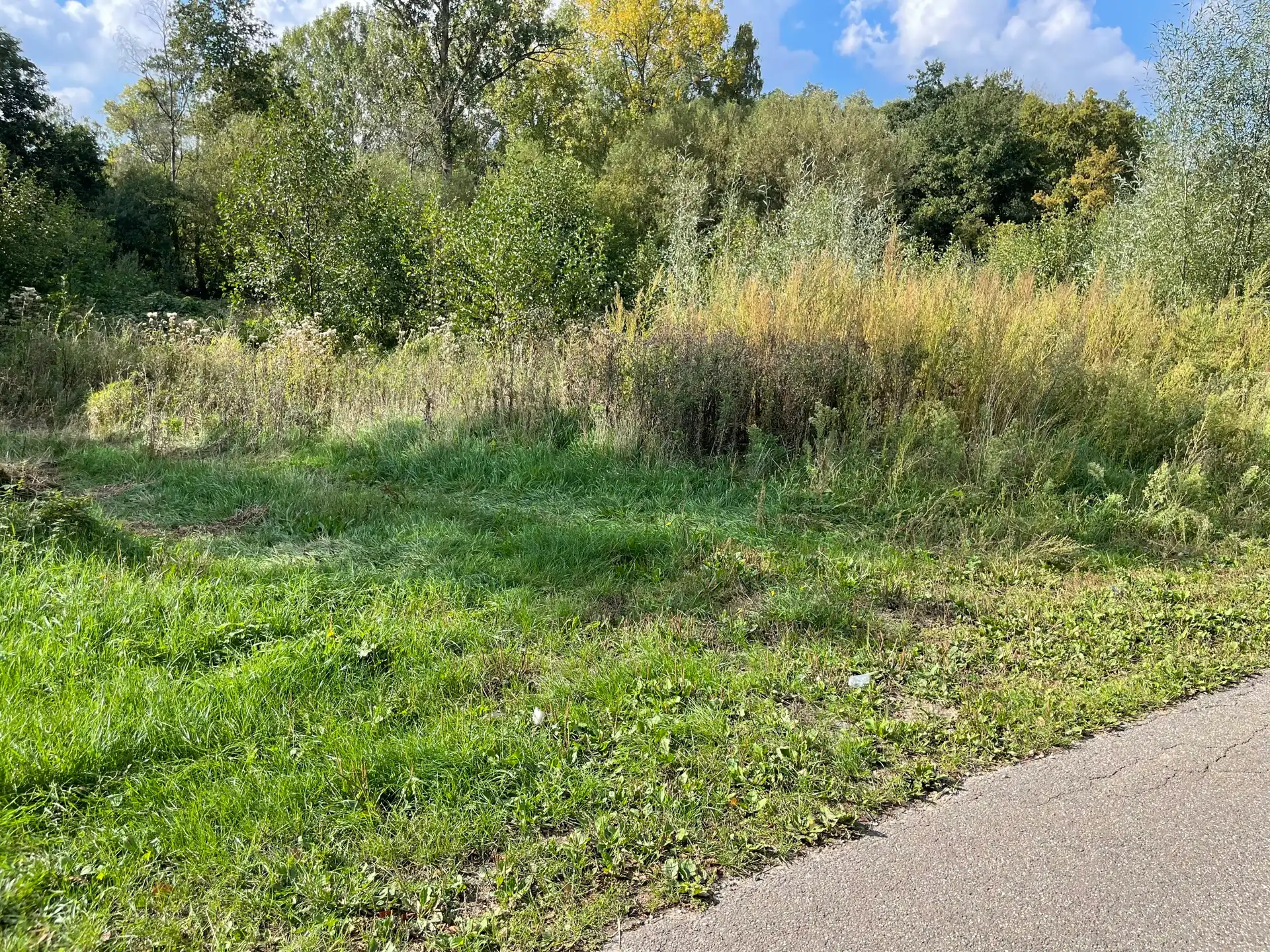 Hooiland nabij natuurgebied in Houthalen-Helchteren foto 3