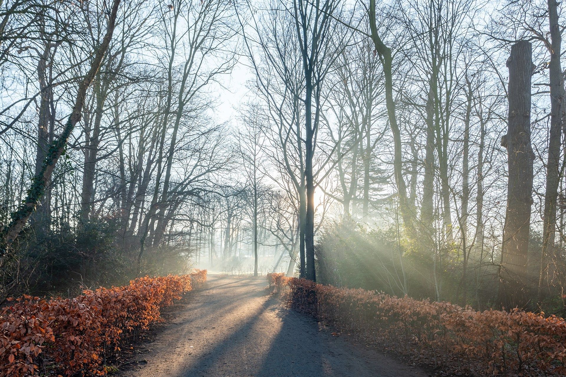 Your Home, Your Comfort, Your A-Rated Energy Future. foto 26