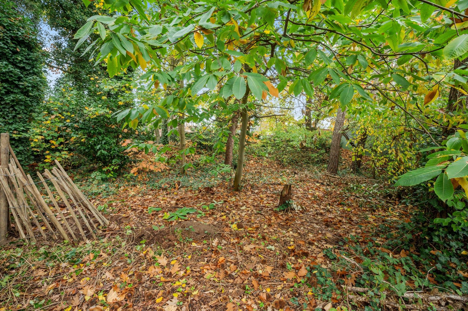 Recente BEN-woning te TREMELO foto 28