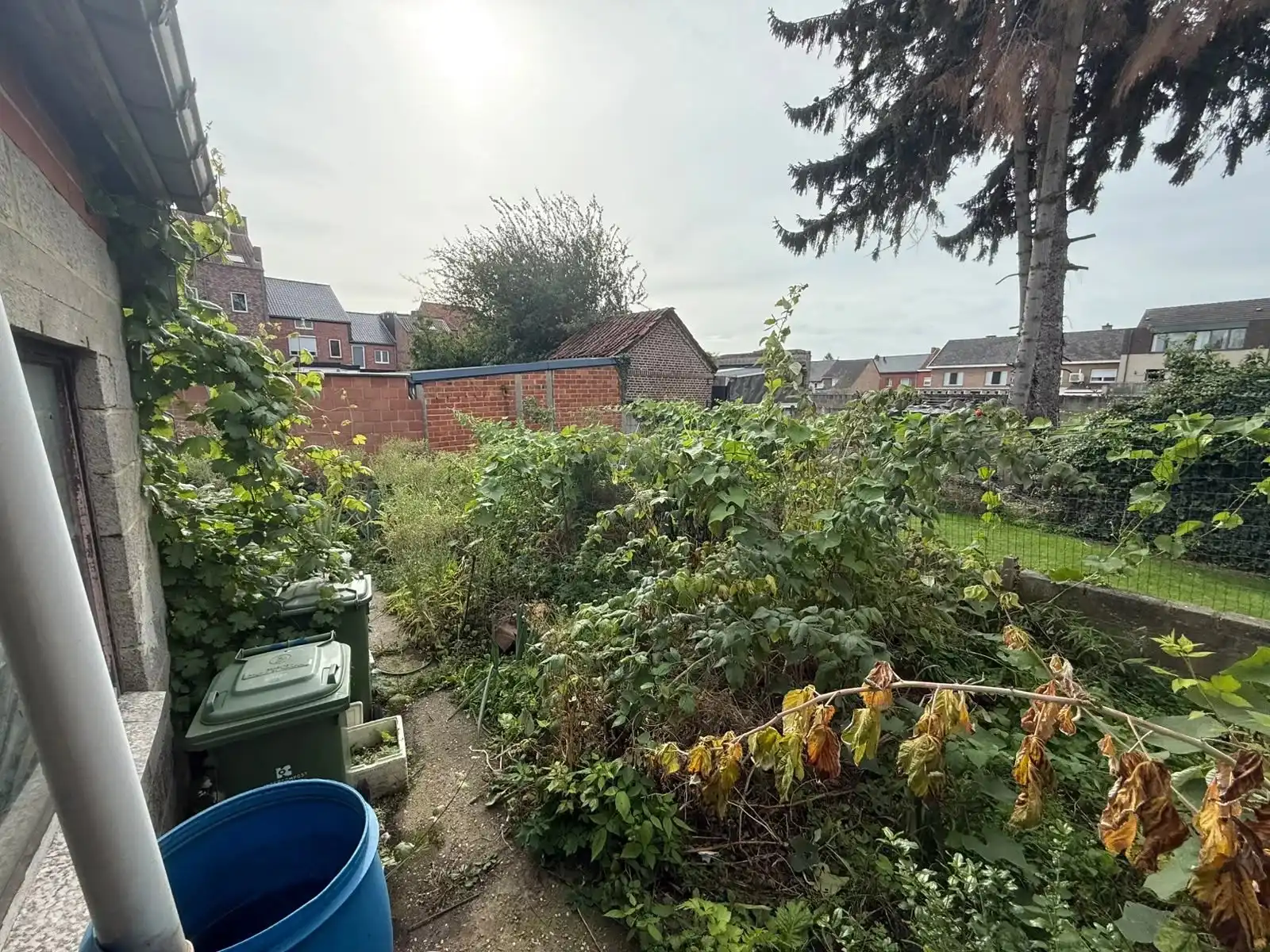 Ruime loods op gunstige locatie foto 8