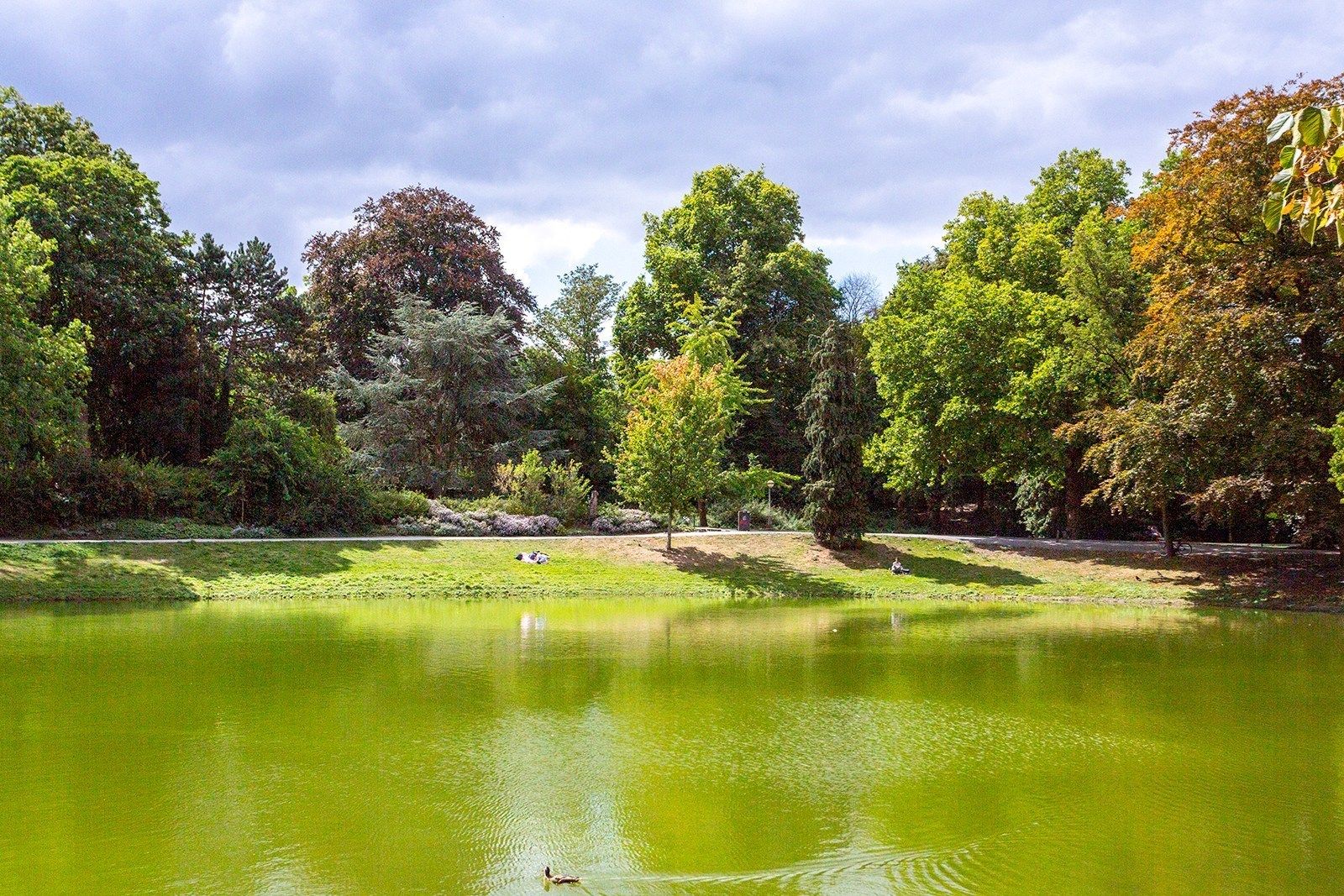 Uiterst ruim vierslaapkamer appartement tussen het Stadspark en de Theaterbuurt!  foto 31