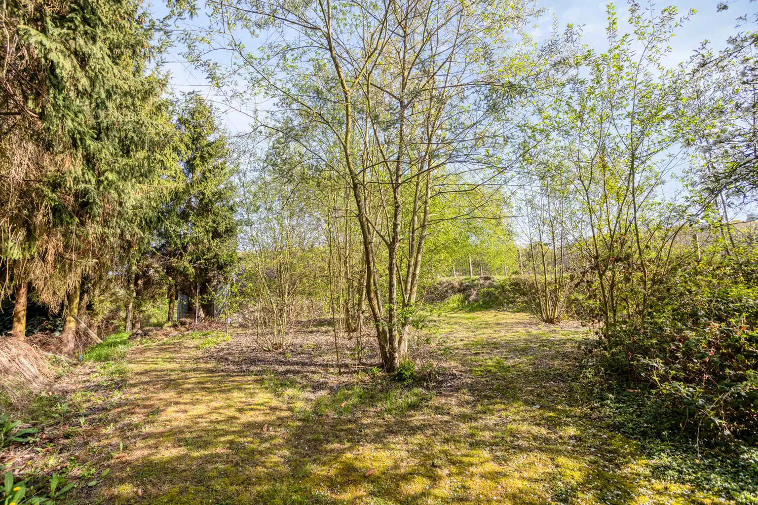 WONING MET RUIME TUIN & ATELIERRUIMTE IN BOUTERSEM foto 26
