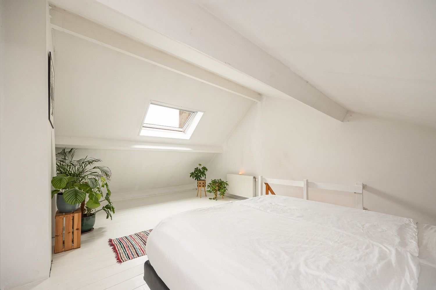 Charmante stadswoning met tuin en optionele garage in hartje Borgerhout foto 17