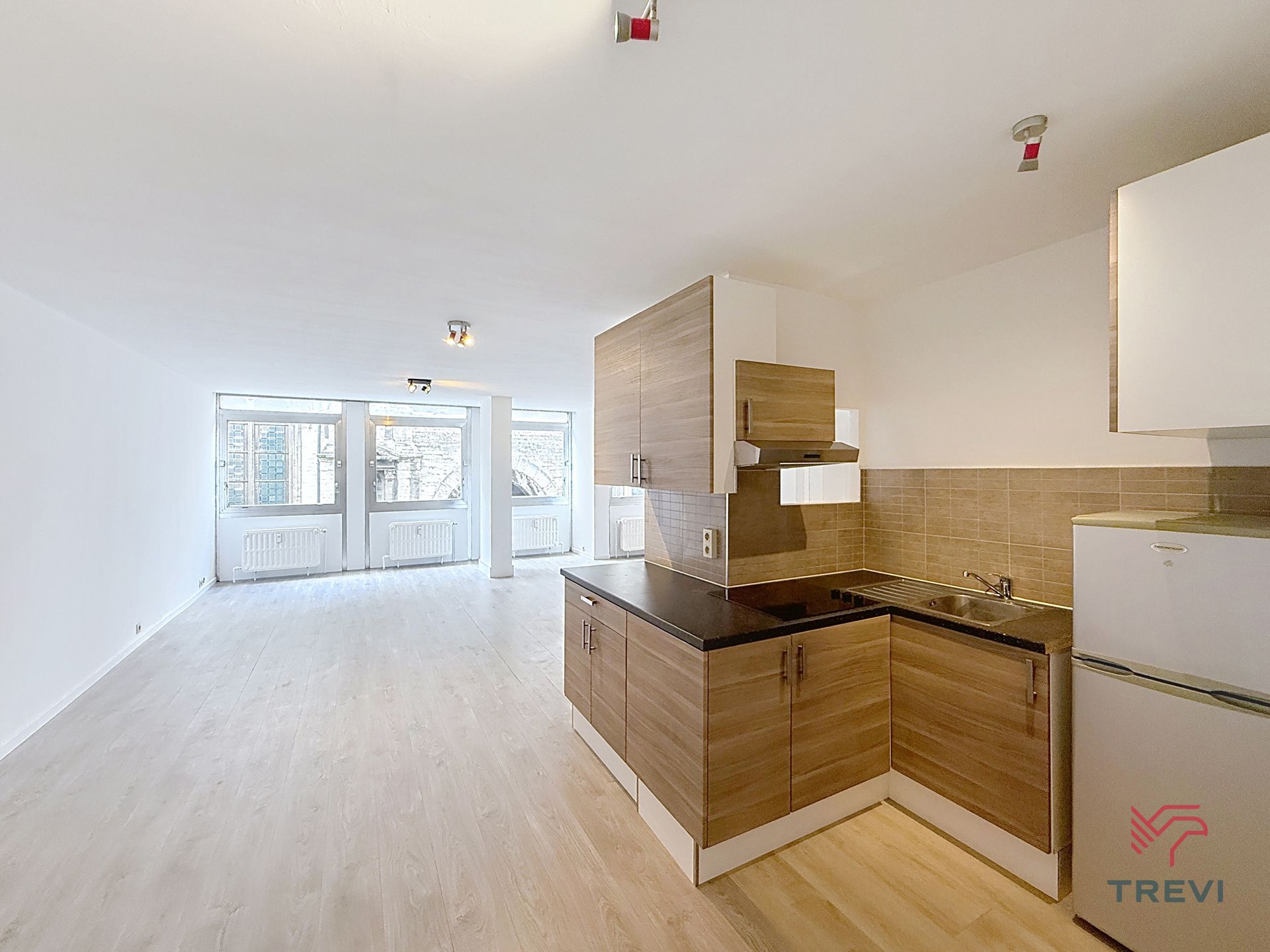 Grote gerenoveerde studio in het centrum van Brussel foto 5