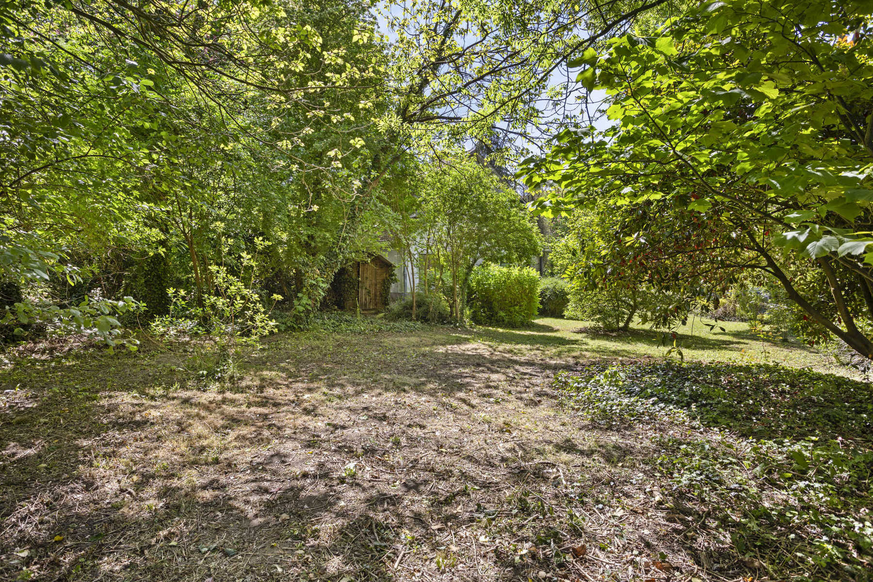 Te renoveren villa op 26a met 5 slaapkamers + praktijkmog. foto 24