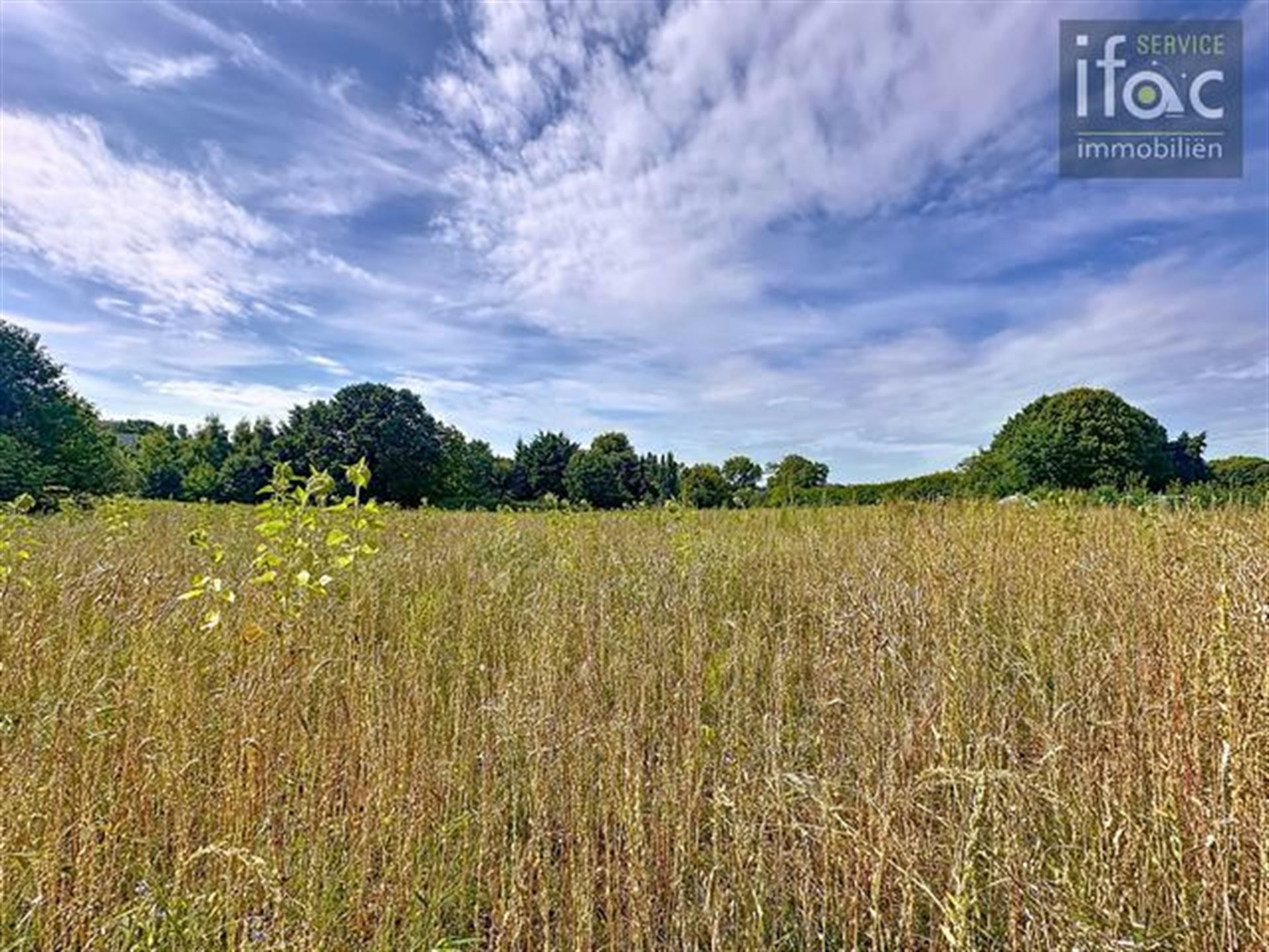 Gunstig gelegen bouwgrond vlakbij Brussel 8a42 foto 9