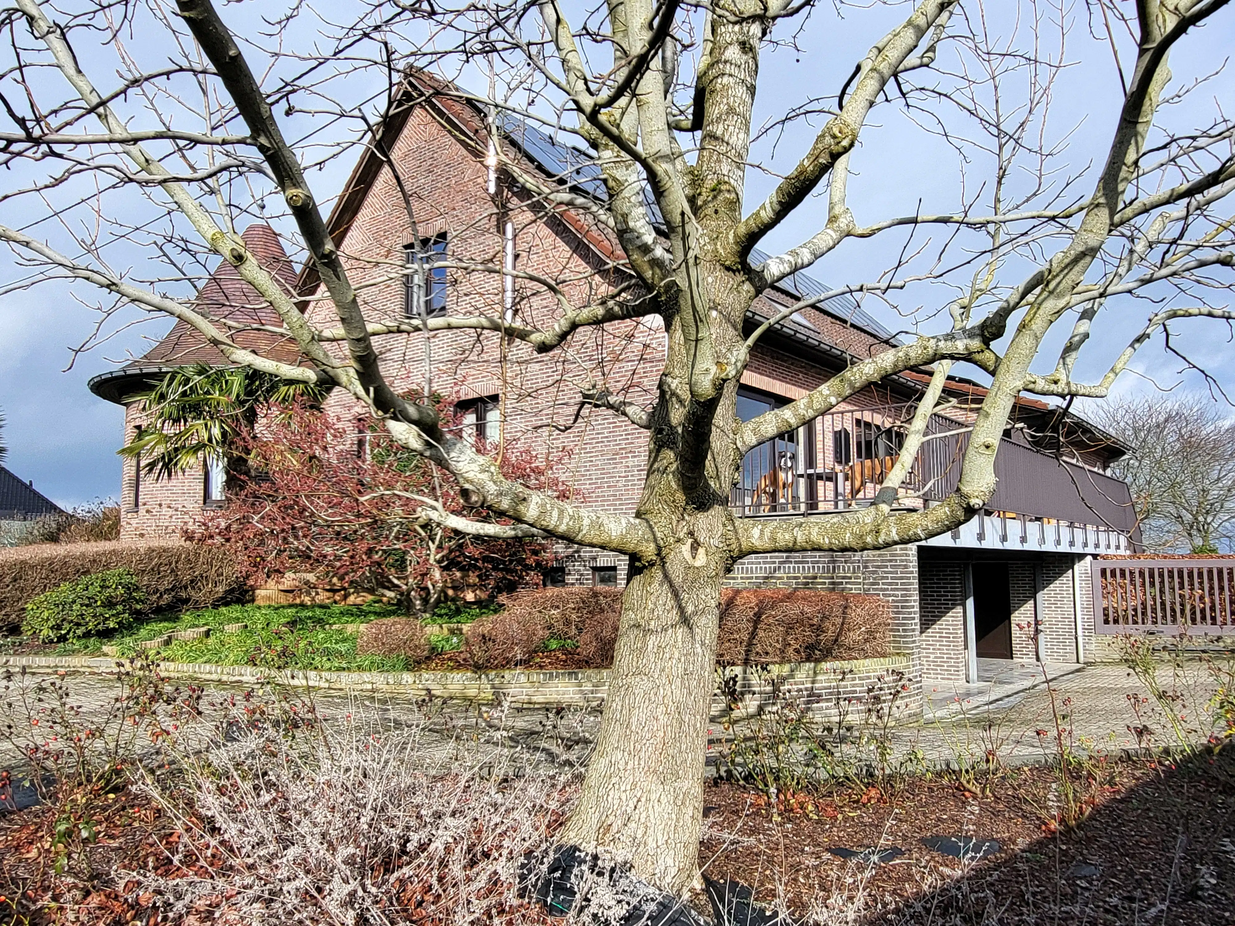 Dit uitzonderlijk ruim en energiezuinig landhuis op 4.149 m² combineert comfort, volume en een instapklare afwerking met tal van mogelijkheden. Topper! foto 4