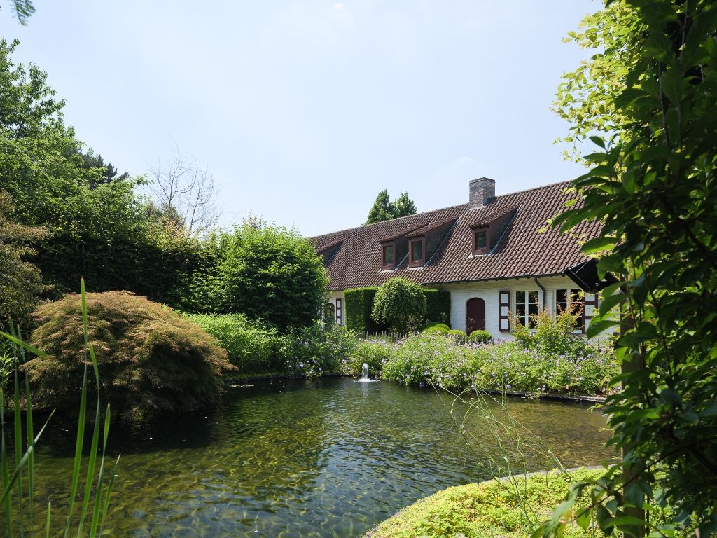 Destelbergen. Op te frissen woning in hoevestijl met aanhorigheden, gelegen op een bijzonder ruim perceel (4.783 m2) omgeven door groen. foto 26