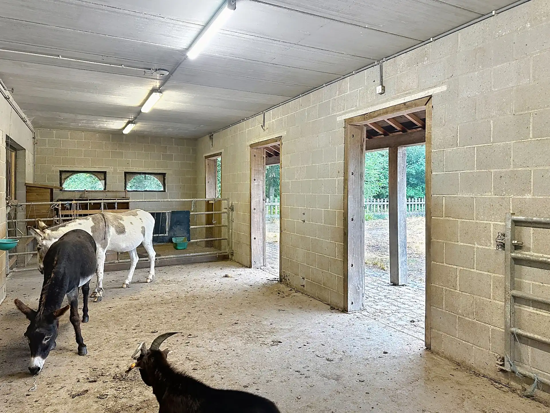 Karaktervol gerenoveerde hoeve/alle comfort/1ha28a - korte afstand Brussel foto 8