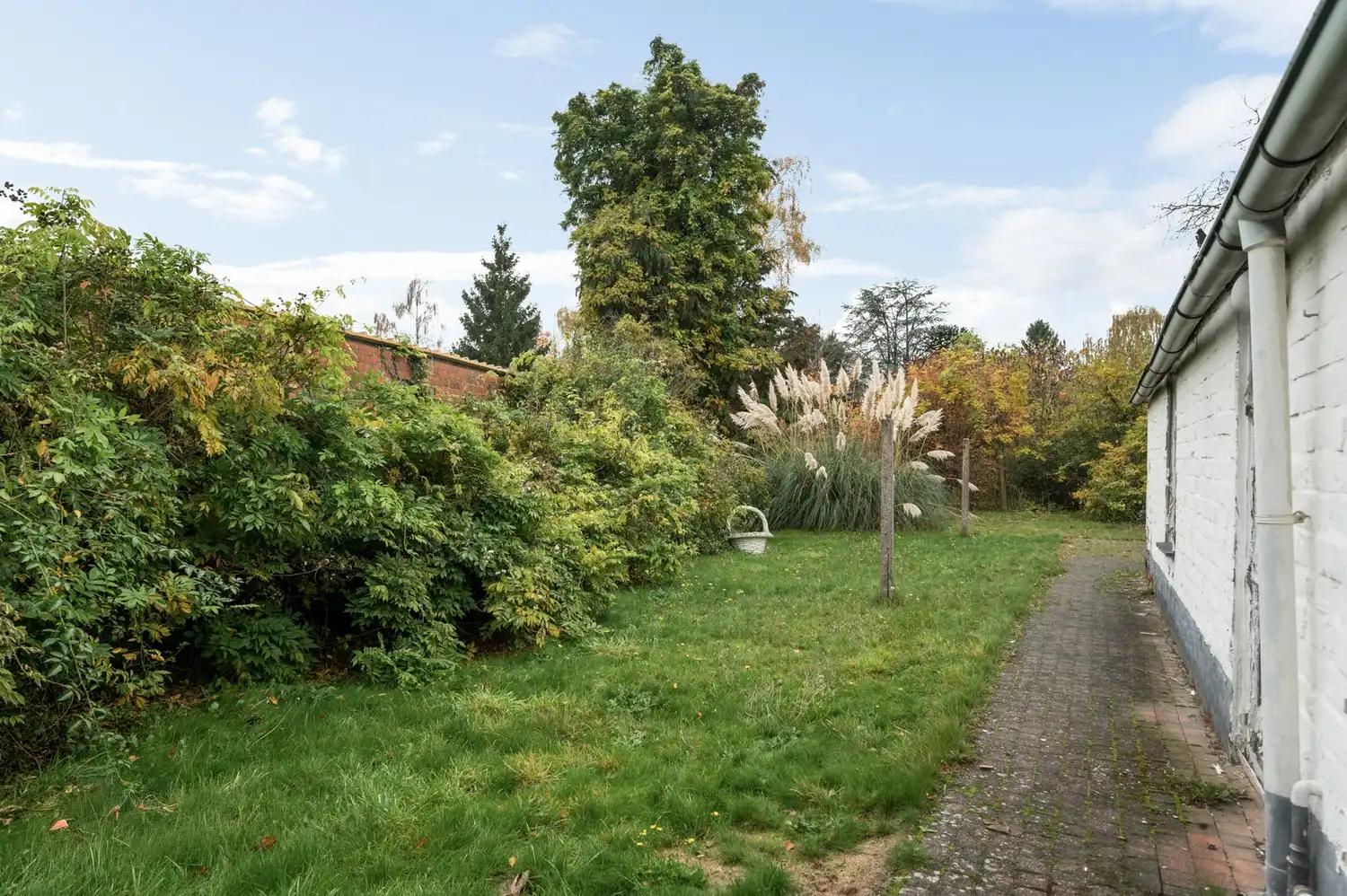 Gelijkvloerse woning op ruim perceel te Bonheiden foto 20