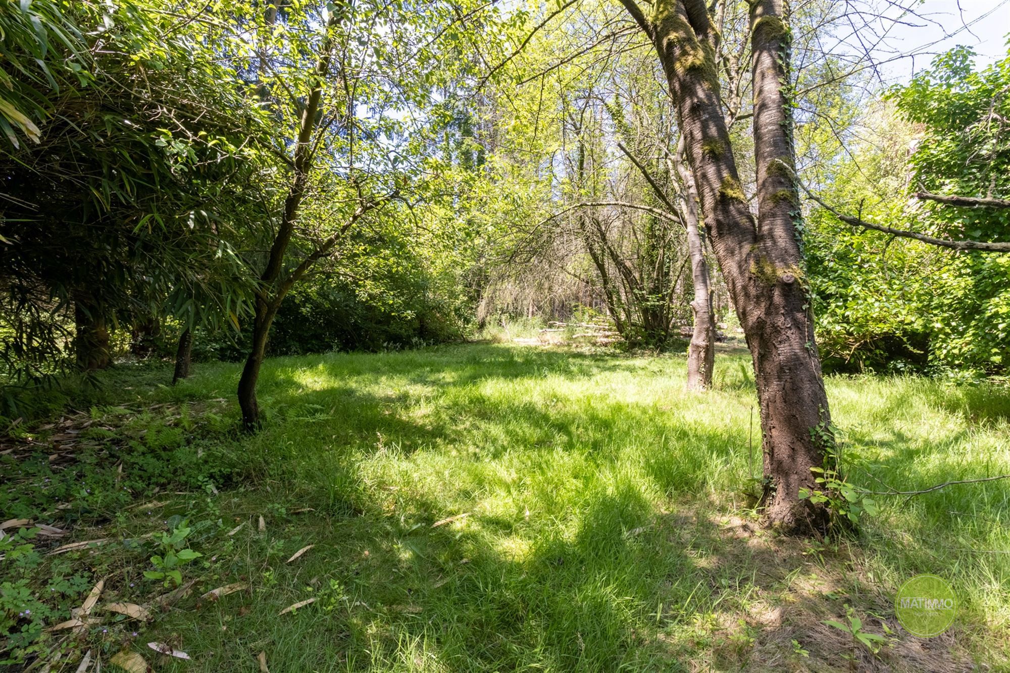 Charmante karakterwoning op een perceel van 2900 m2 in Mol foto 29