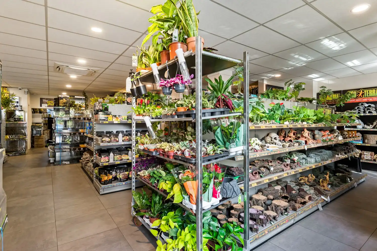 Ruim handelsgelijkvloers (208 m²) met brede etalage en buitenruimte (72 m²) in Kontich foto 7
