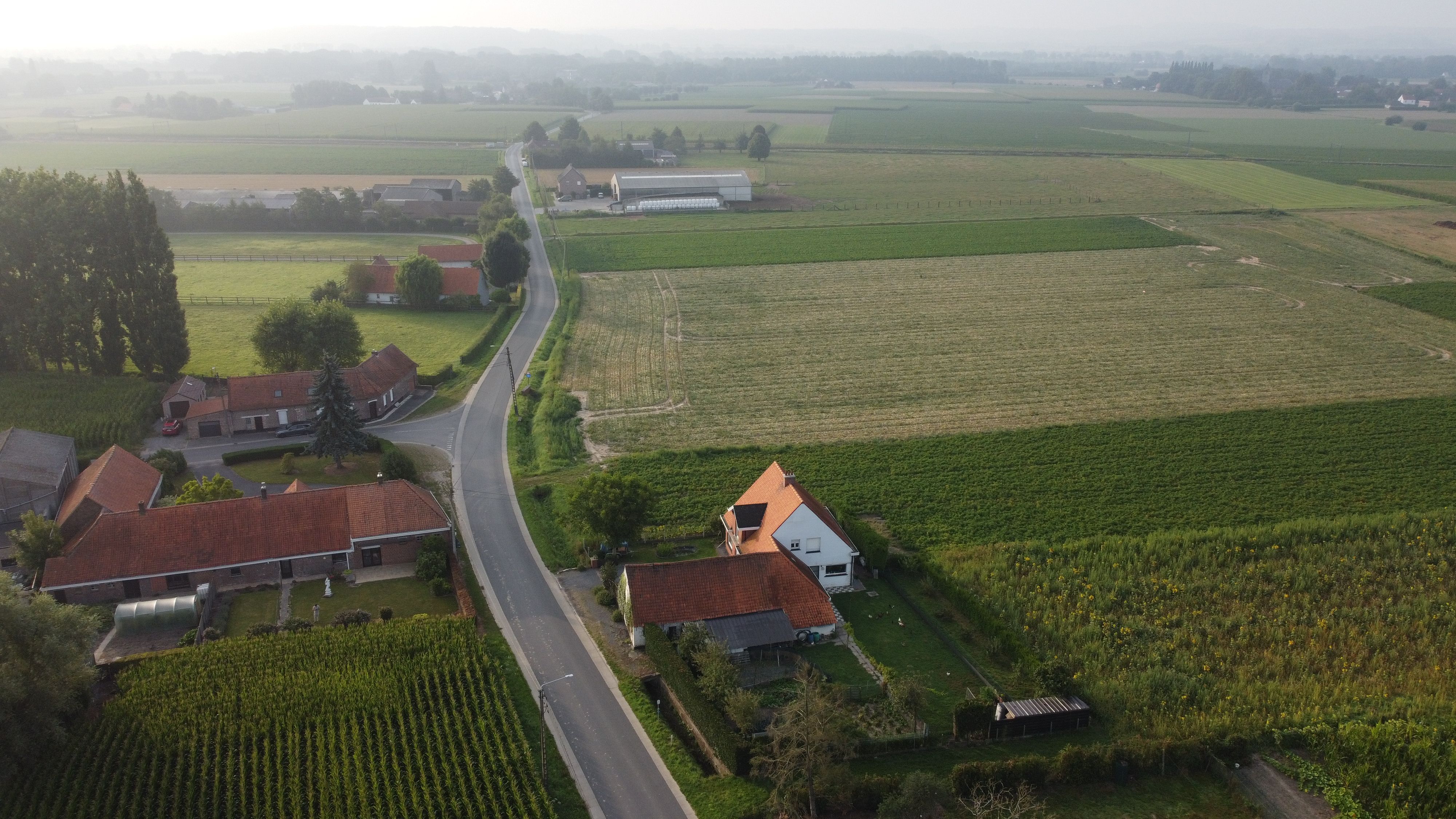 Te renoveren hoeve met stallen op 3780 m² foto 14