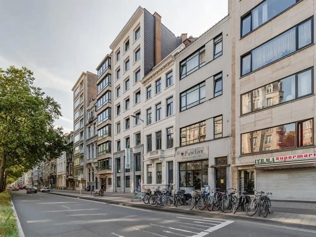 Hip duplex-appartement aan Albertpark foto 12