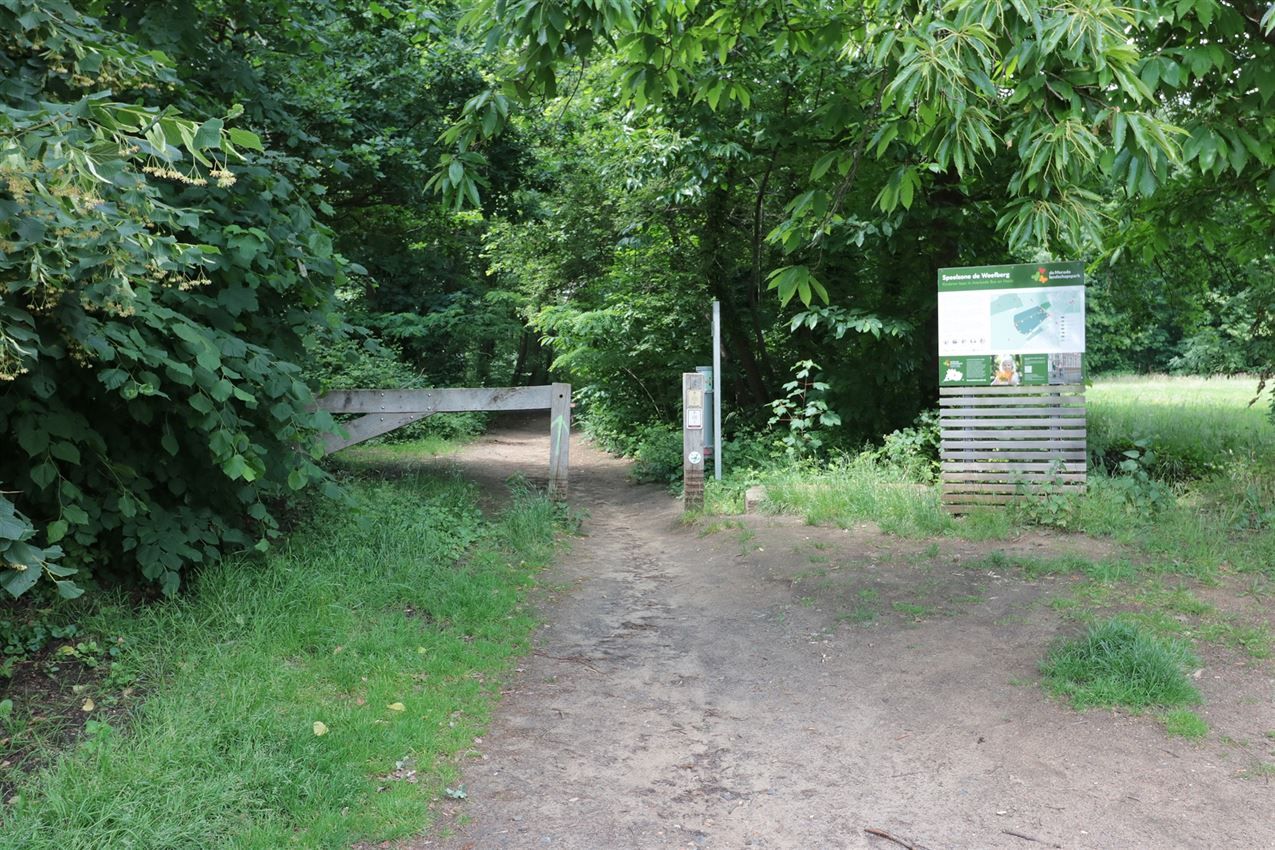 Toplocatie, op bijna 11a tegen natuurgebied foto 33