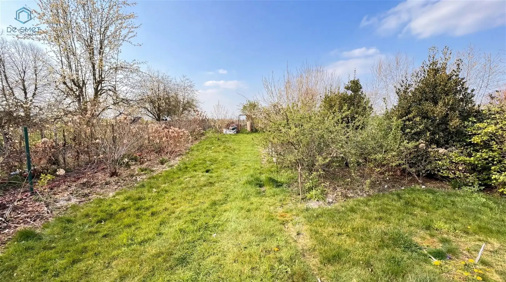 Ruime woning met 3 slaapkamers en aparte praktijkruimte te Goeferdinge foto 3