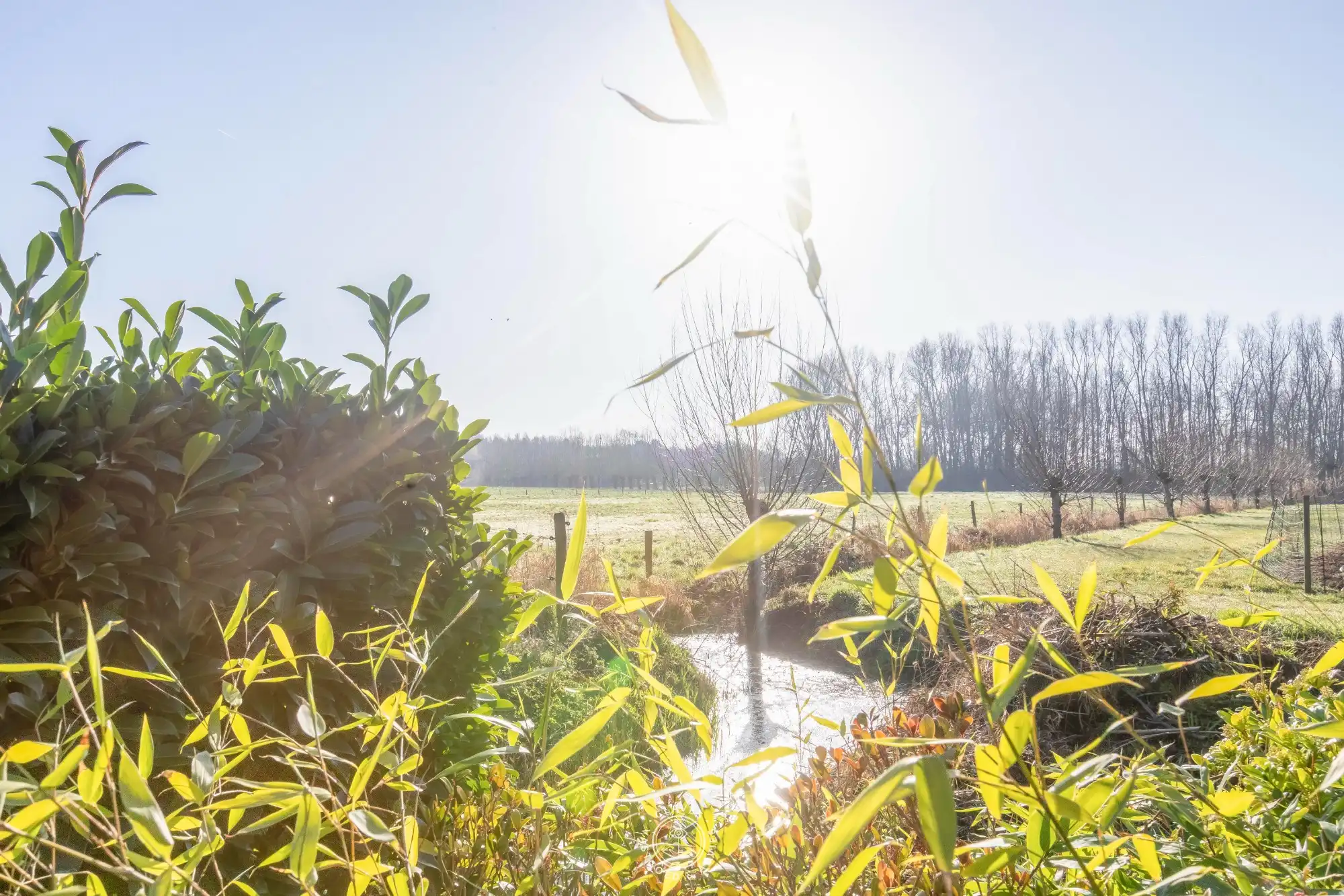 Een unieke combinatie van wonen, werken en genieten in Waasmunster foto 26