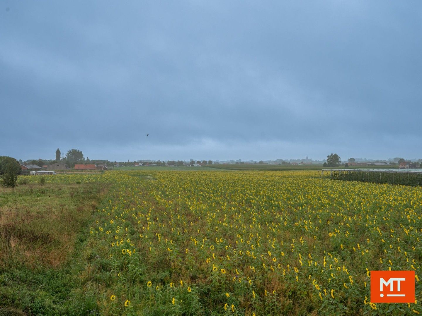 Alleenstaande woning (2013) in landelijke omgeving met naastliggend bouwland foto 16