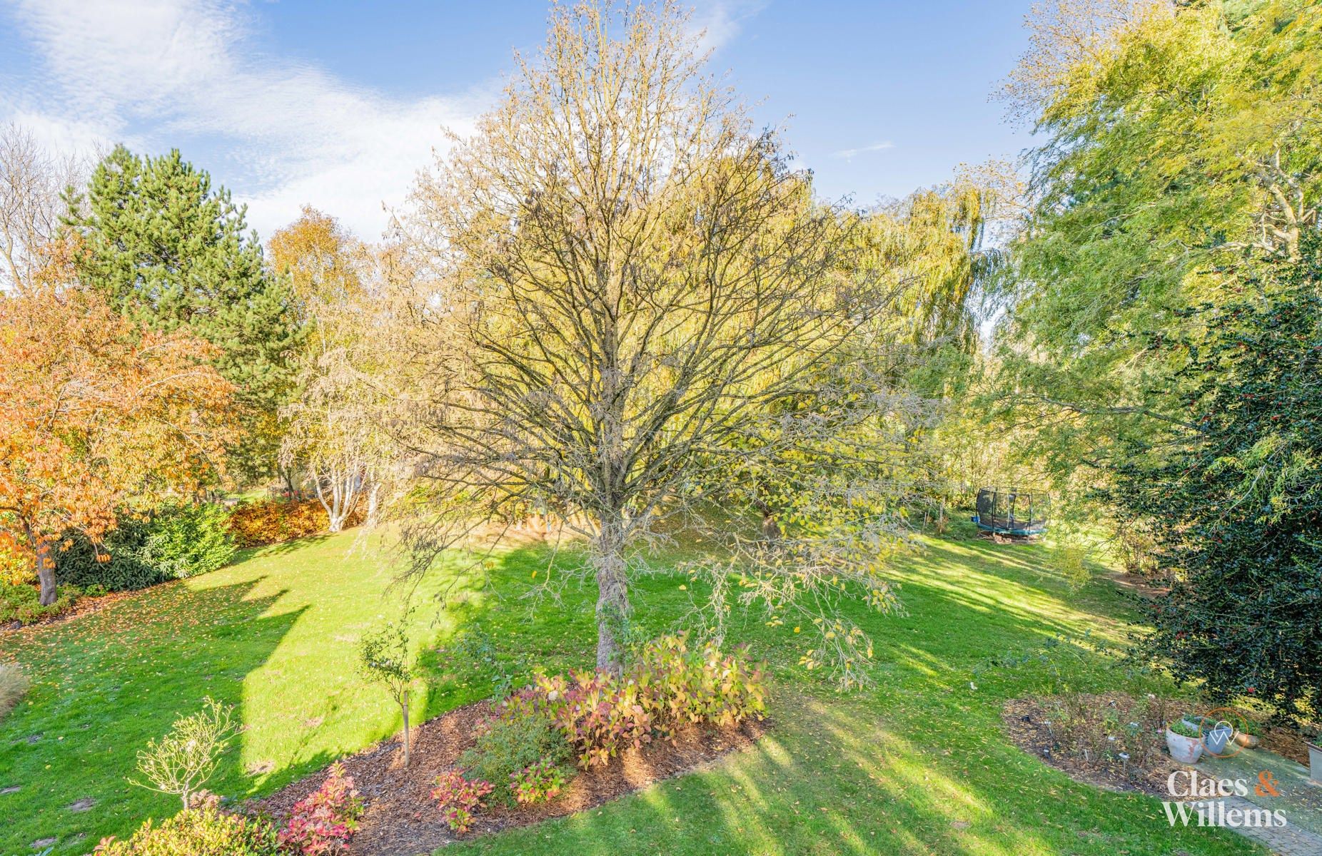Ruime gezinswoning met praktijk- of kantoorruimte foto 5