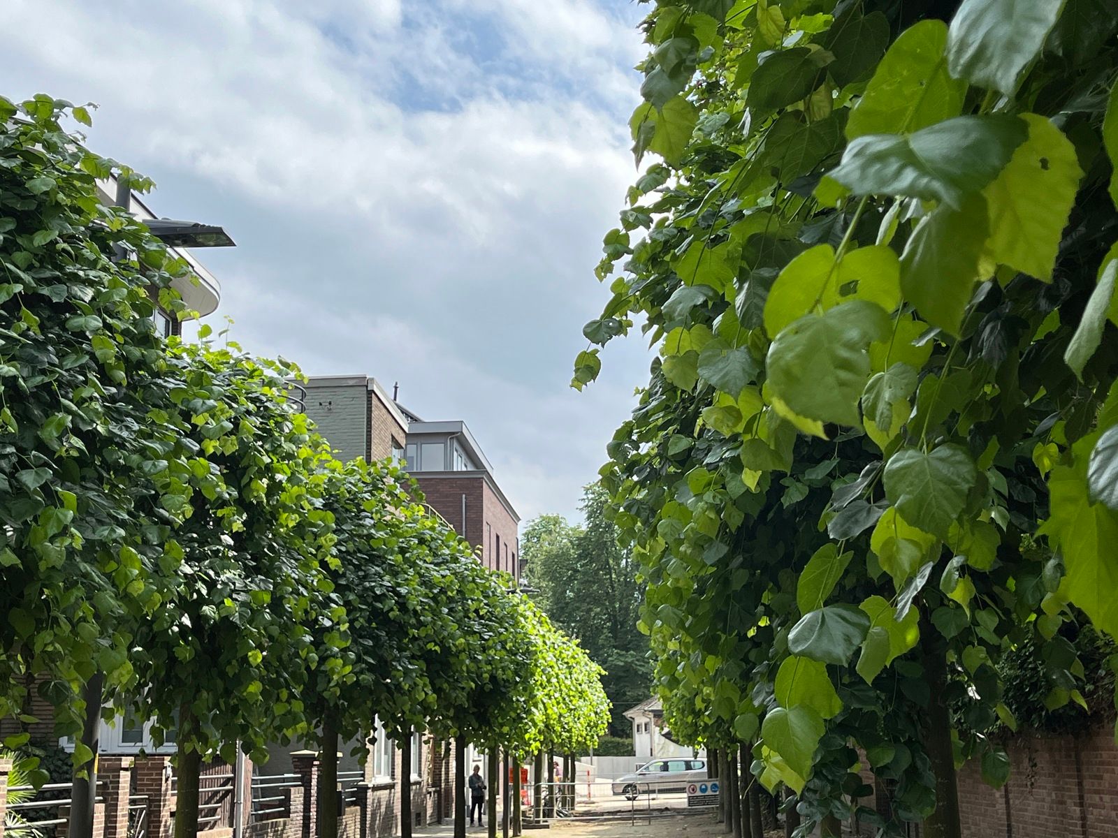 Recente handelsruimte in het centrum foto 10