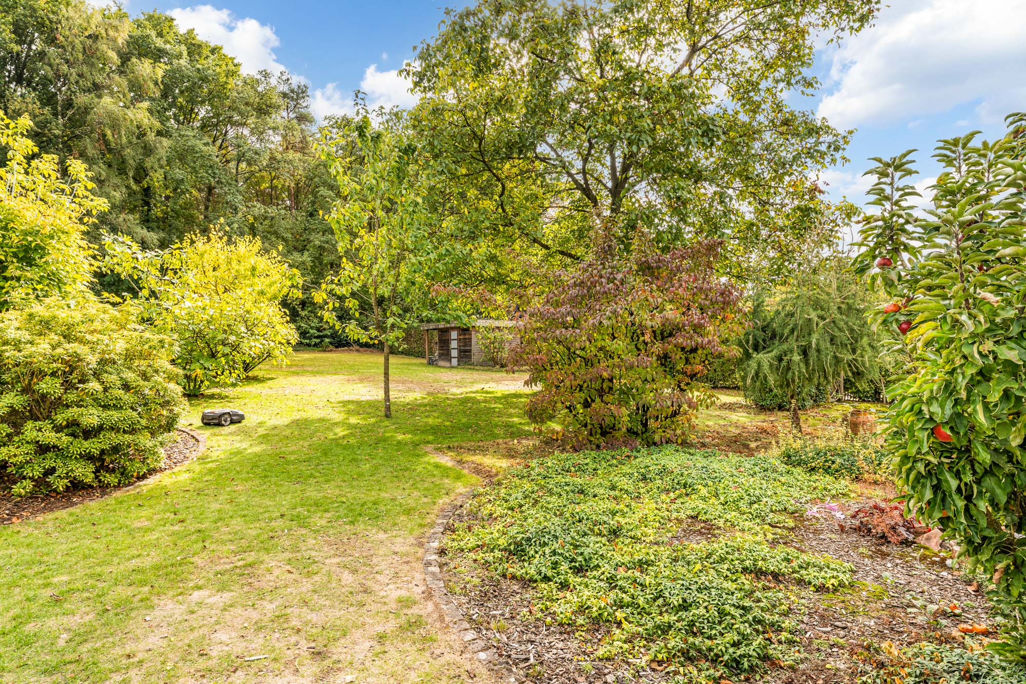 Huis te koop foto 27