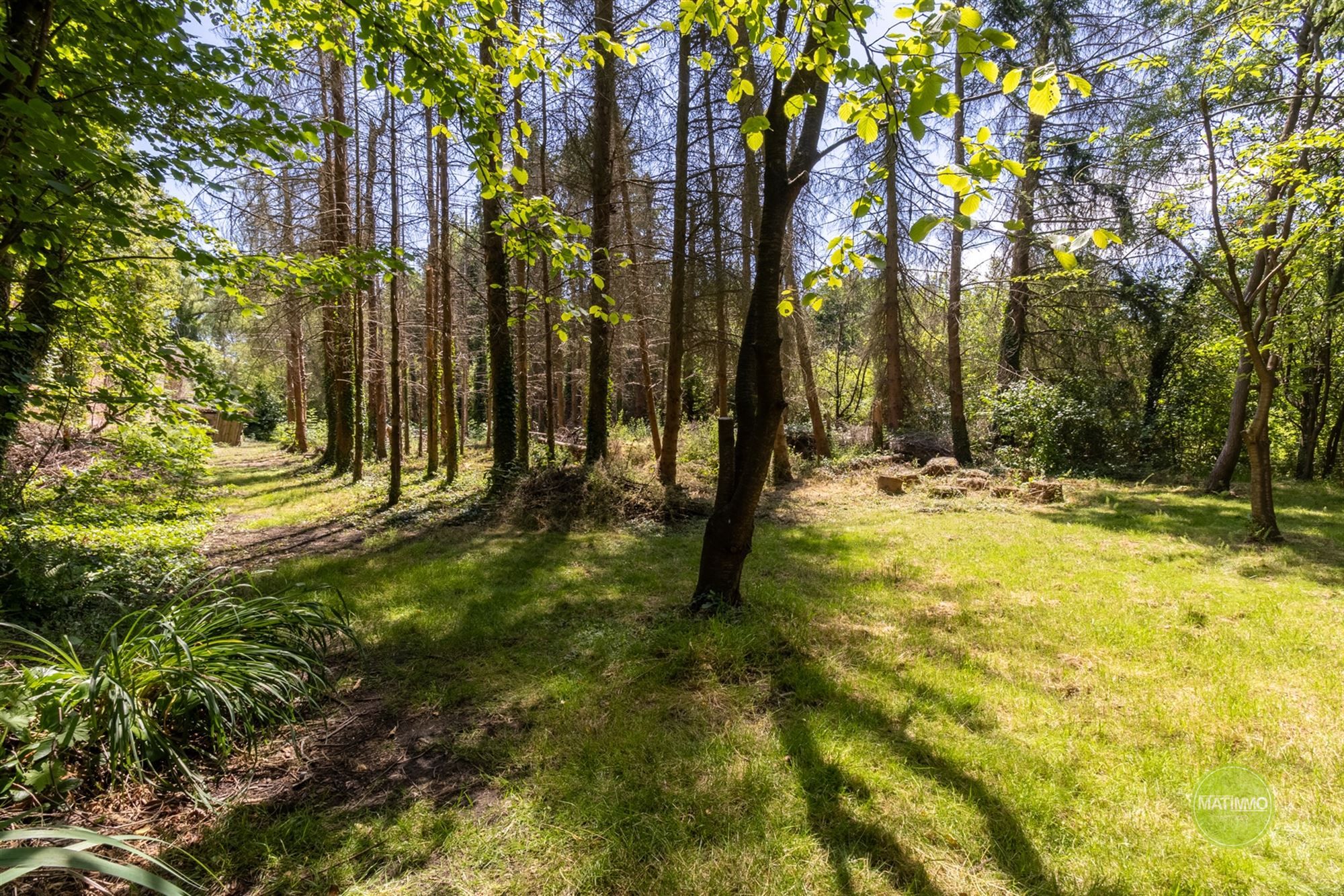 Charmante karakterwoning op een perceel van 2900 m2 in Mol foto 30