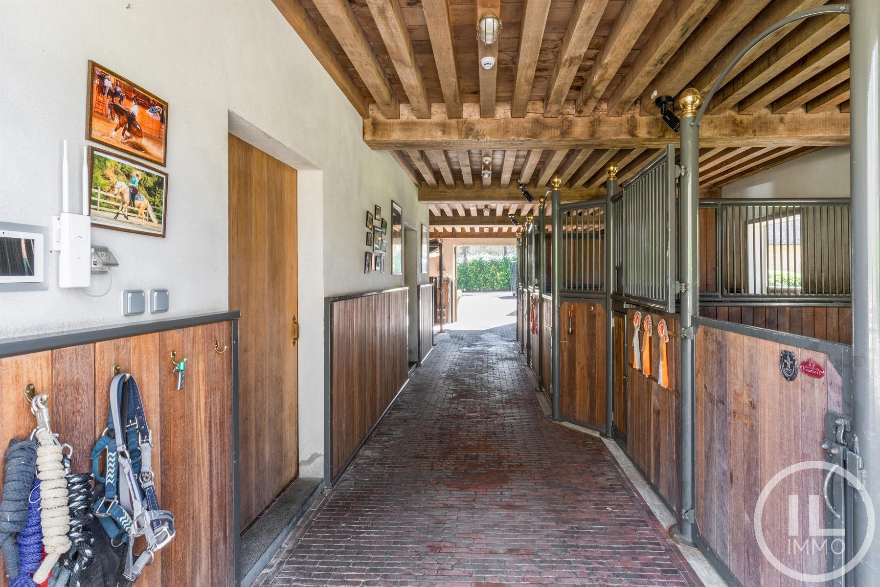 Schitterend domein van 7,7 ha met prachtige villa, zwembad, guesthouse, ruime schuur en uitgebreide paardenfaciliteiten. foto 41