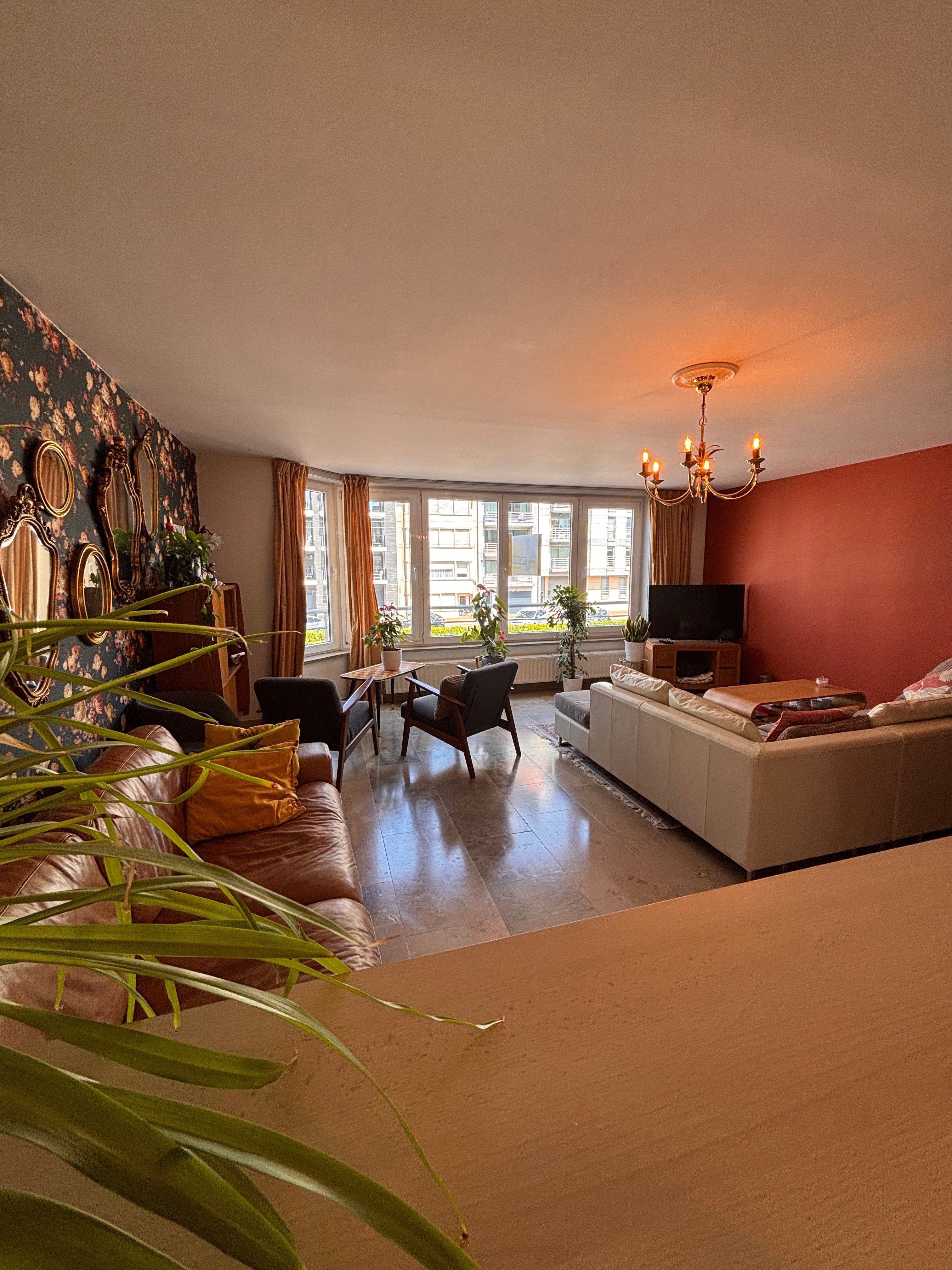 Ruim appartement met terras en zijdelings duinzicht foto 4