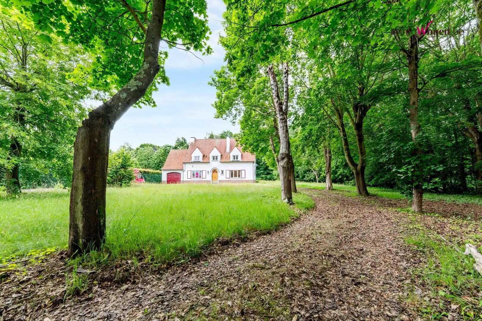  Te renoveren Klasse Woning op prachtig domein  foto 48