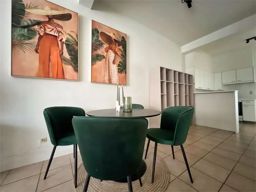 Instapklaar app. met 2 slpks. + ruim, zonnig terras (22m²) !!! foto 3