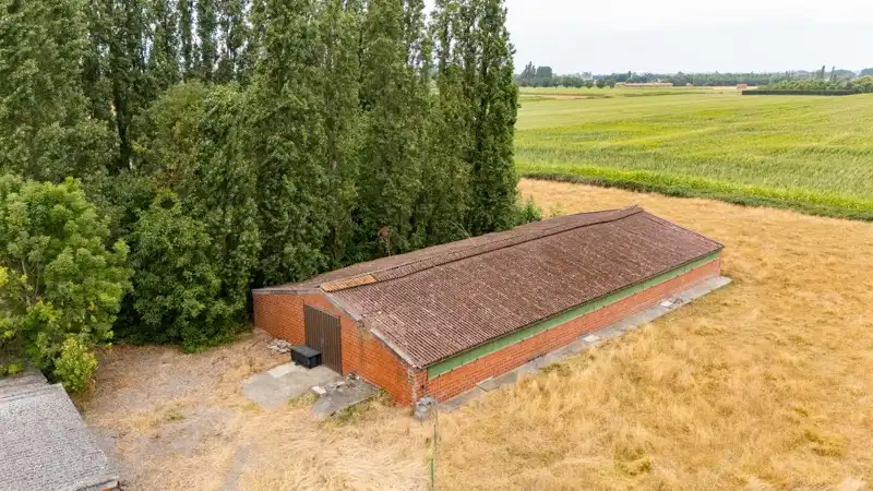 Te slopen LANDELIJK gelegen woning op een perceel van 815 m² in WIELSBEKE foto 26