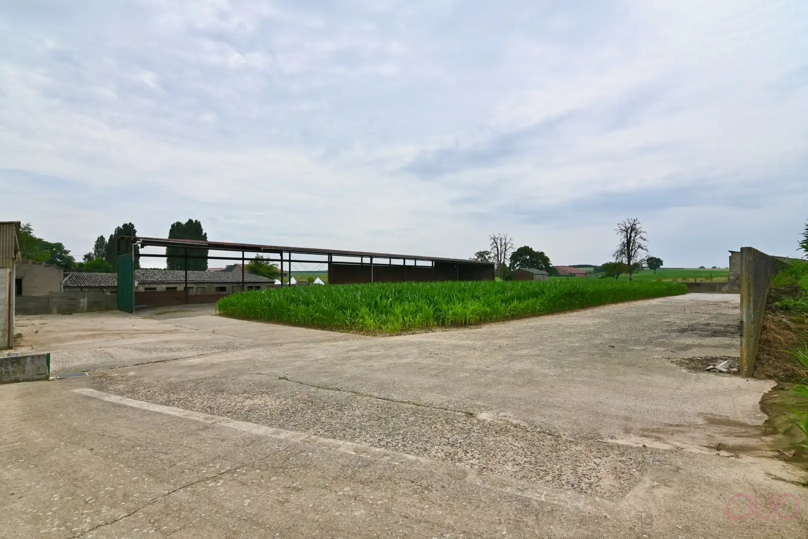 Hoevewoning op een perceel van 69a20ca met een veestal van 391m2 en een open schuur van 355m2 foto 2