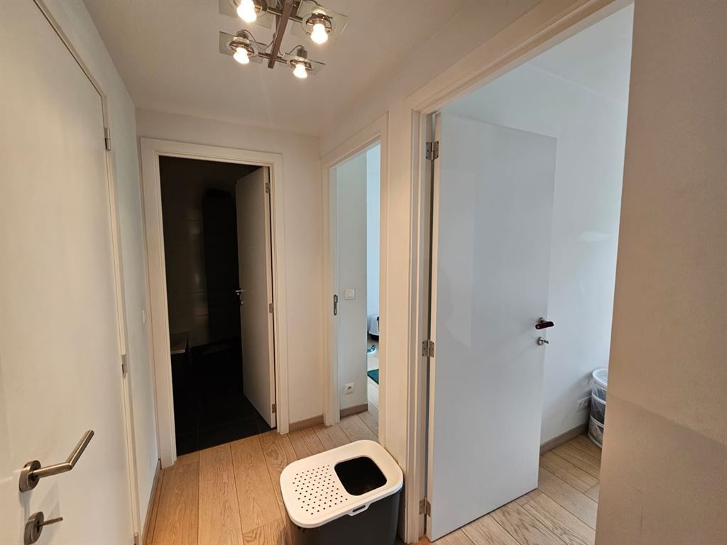 appartement foto 19