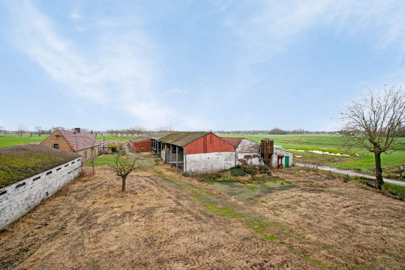 Uniek domein op 1 hectare in Landegem foto 4